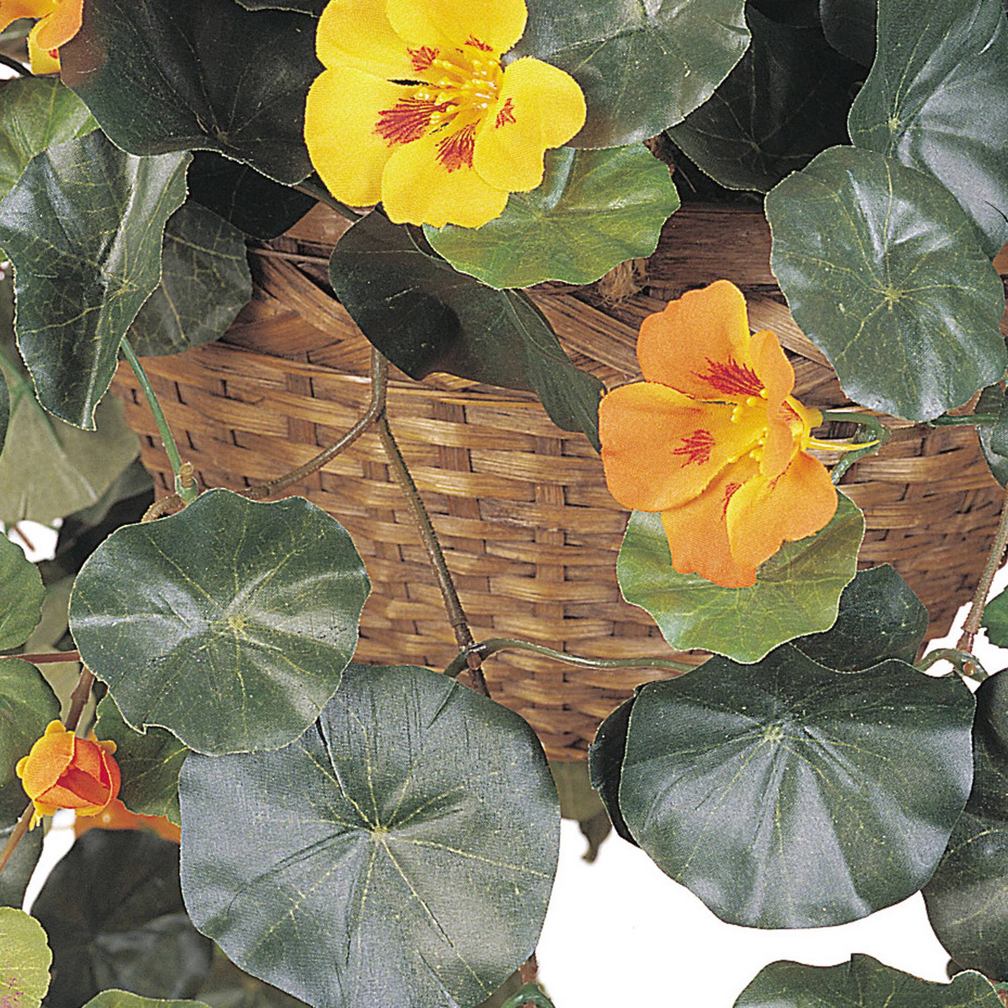 22" Golden Nasturtium Hanging Basket | Michaels
