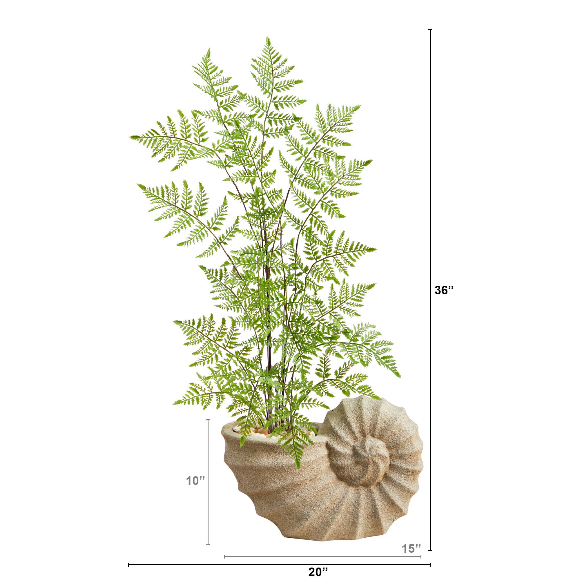 3ft. Ruffle Fern Artificial Tree in Shell Shaped Planter