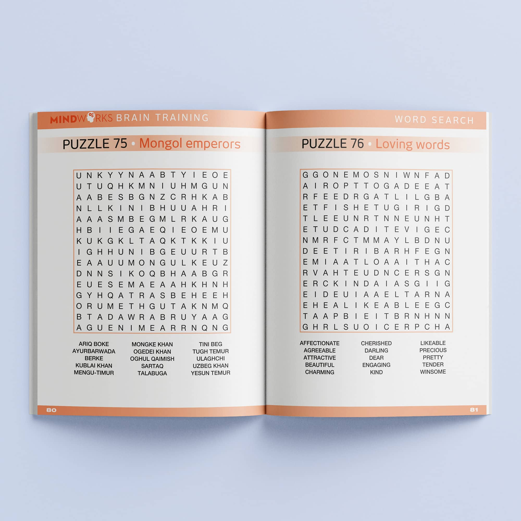 Mindworks Brain Training Word Search Puzzles