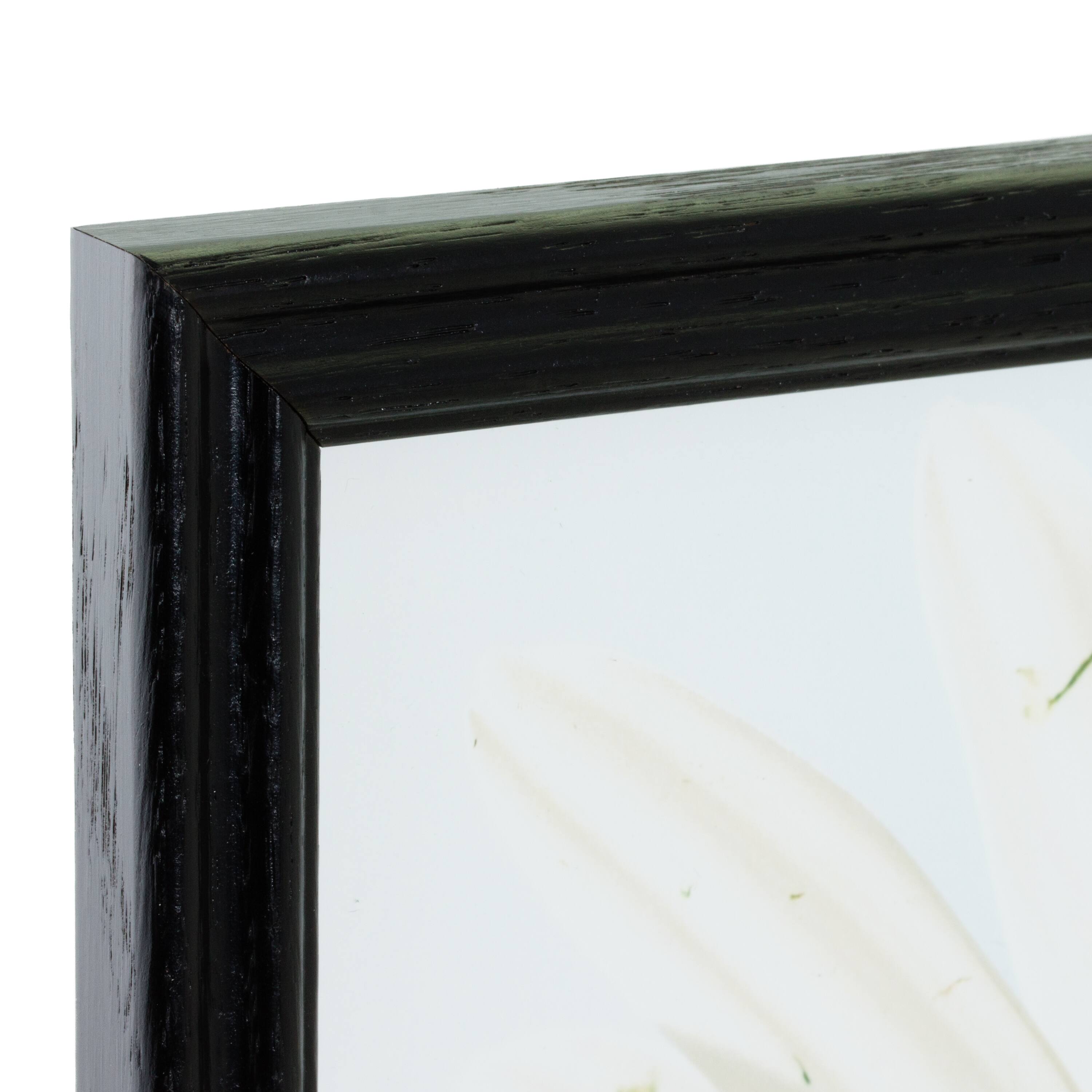 Craig Frames 4 Pack: Wiltshire 200 Ebony Picture Frame with Mat