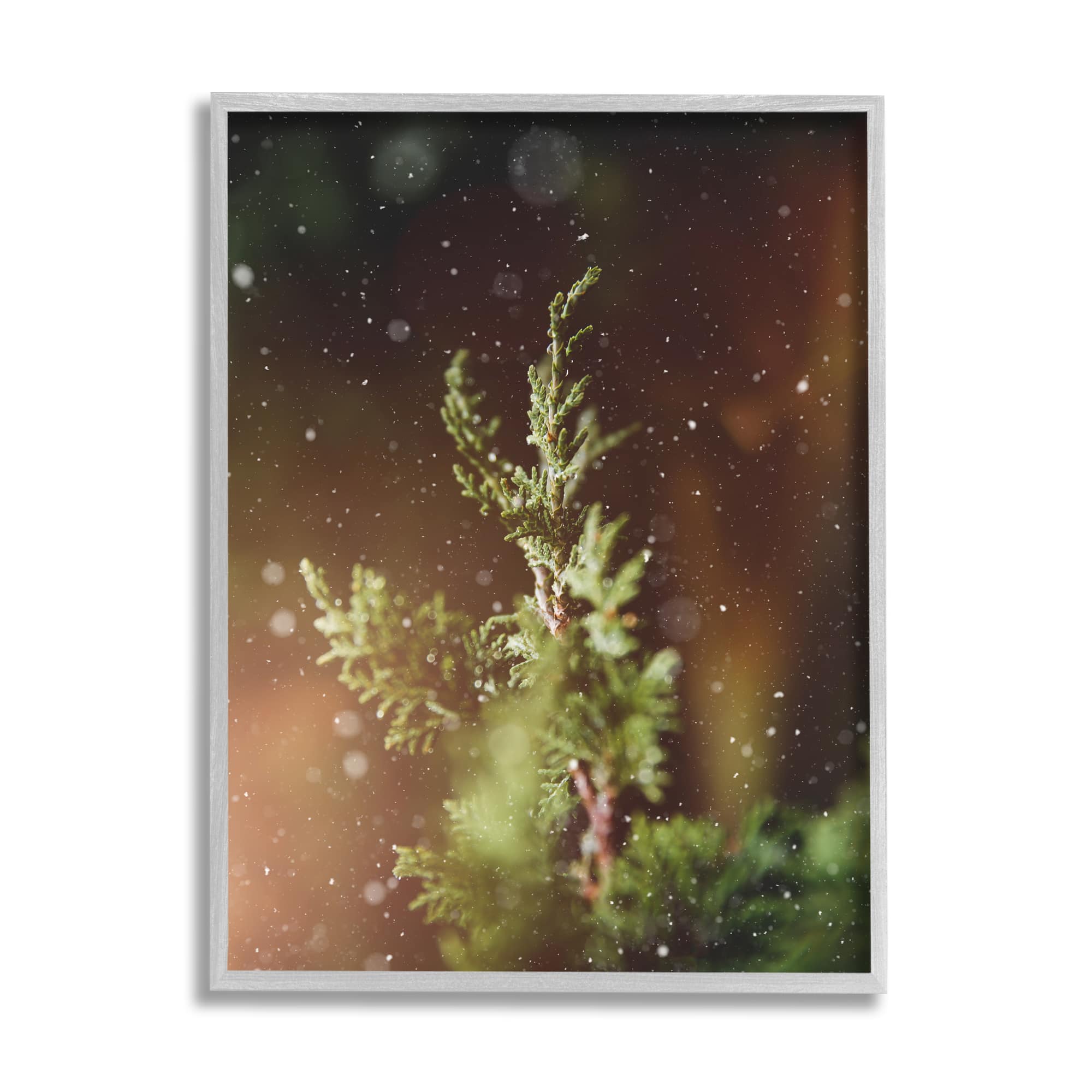 Stupell Industries Winter Snowfall Night Pine Tree Framed Giclee Art