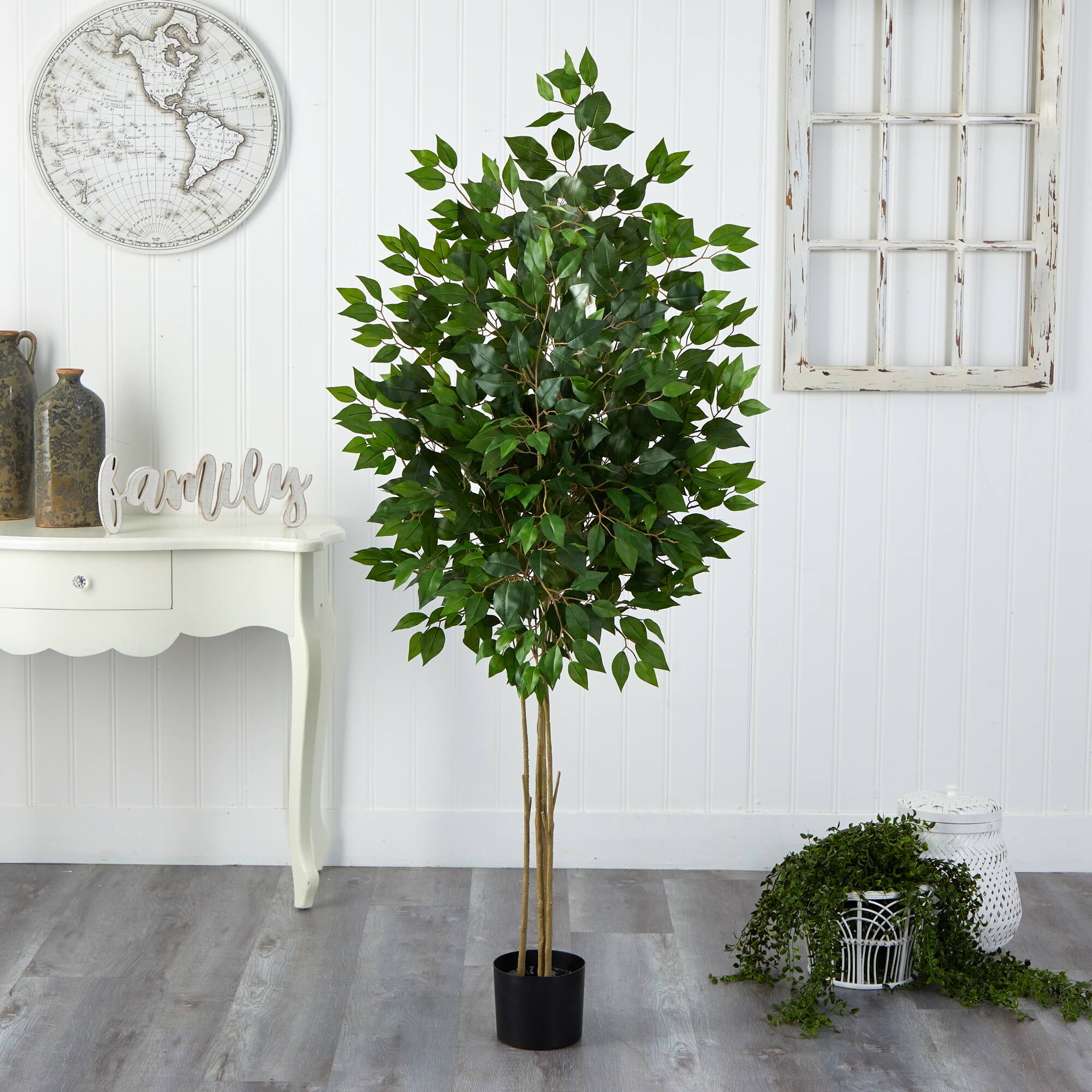 5.5ft. Potted UV Resistant Ficus Tree