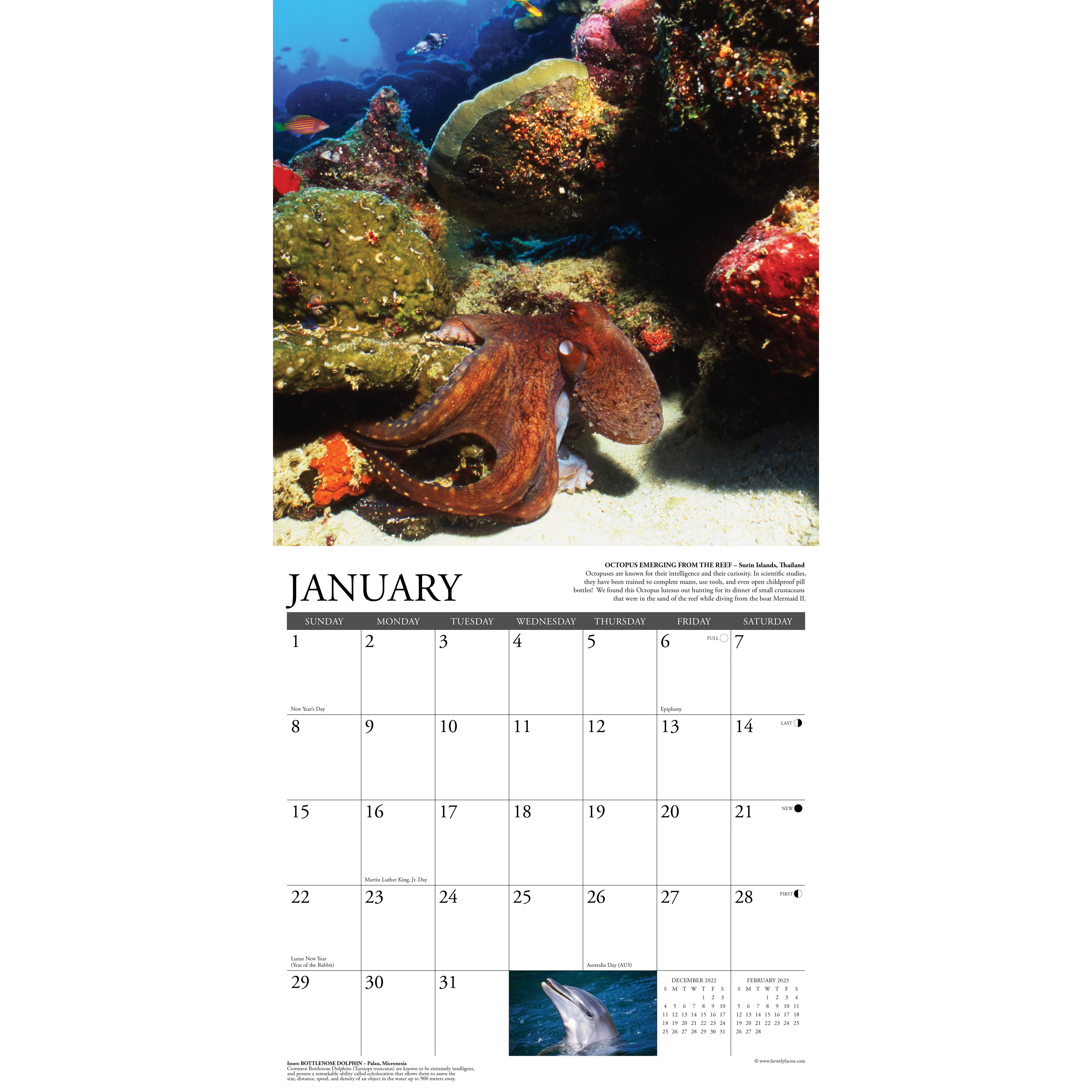 2023 Under the Sea Wall Calendar | Michaels