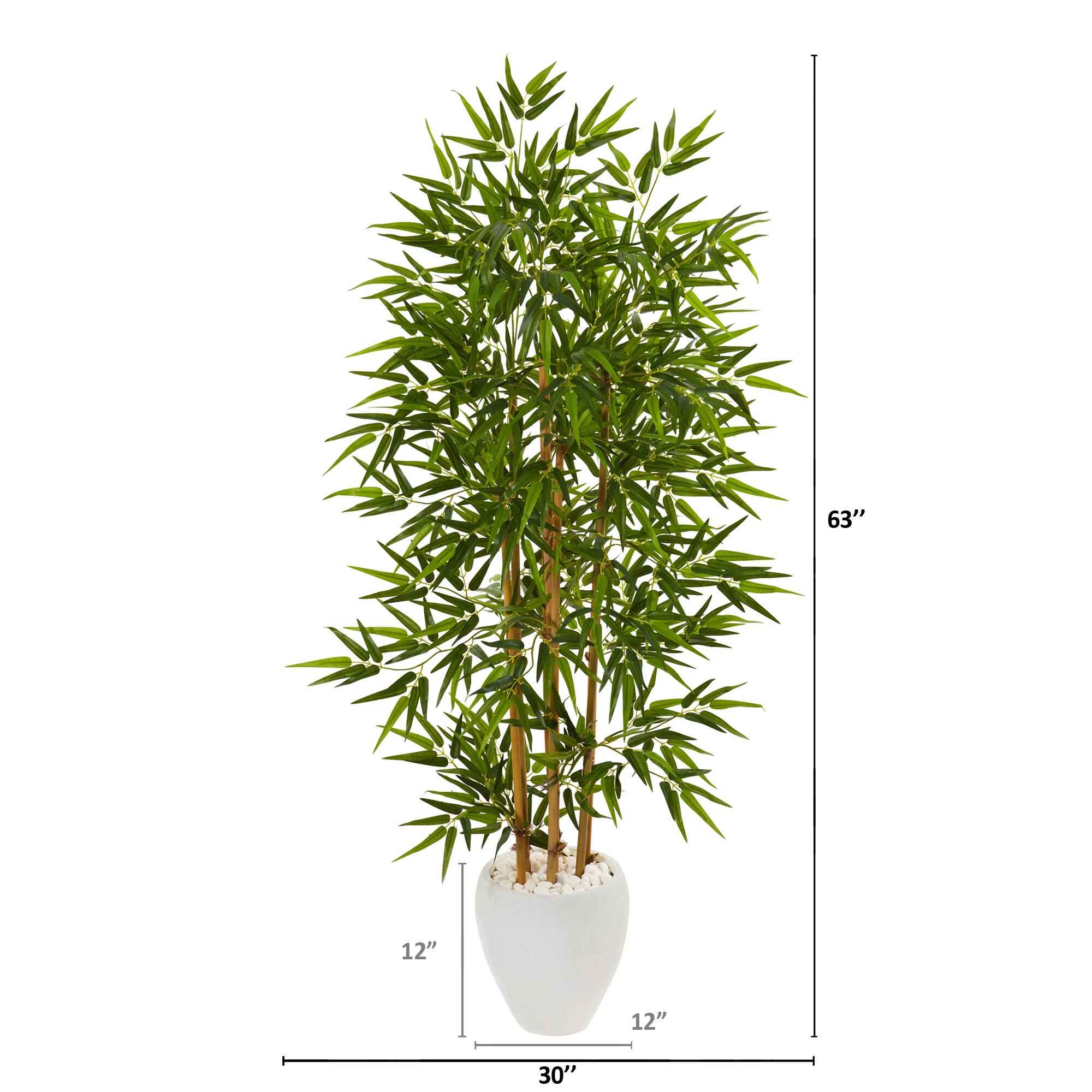 5.3ft. Bamboo Tree in White Planter