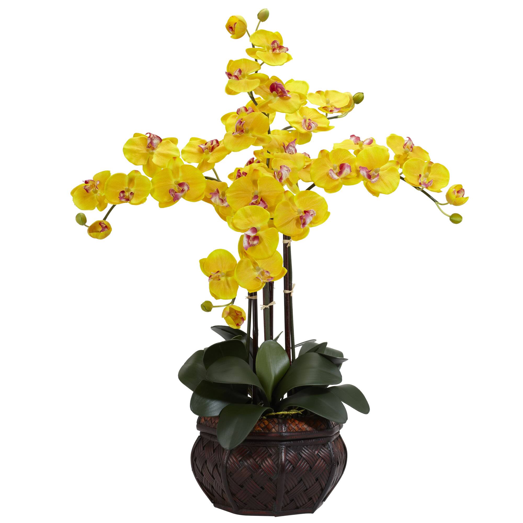 2.5ft. Yellow Moth Orchid Arrangement with Decorative Vase | Tabletop ...