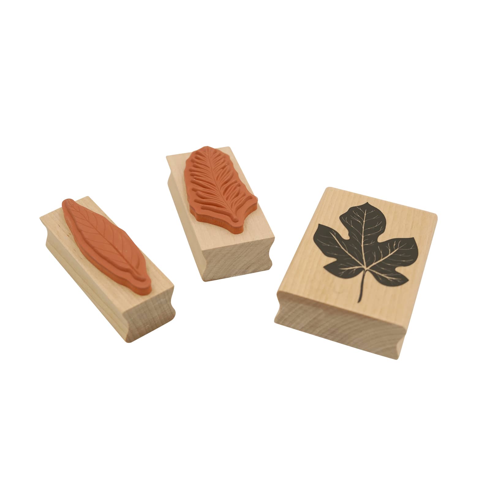 6 Pack: Leaf Stamp Set by Recollections™