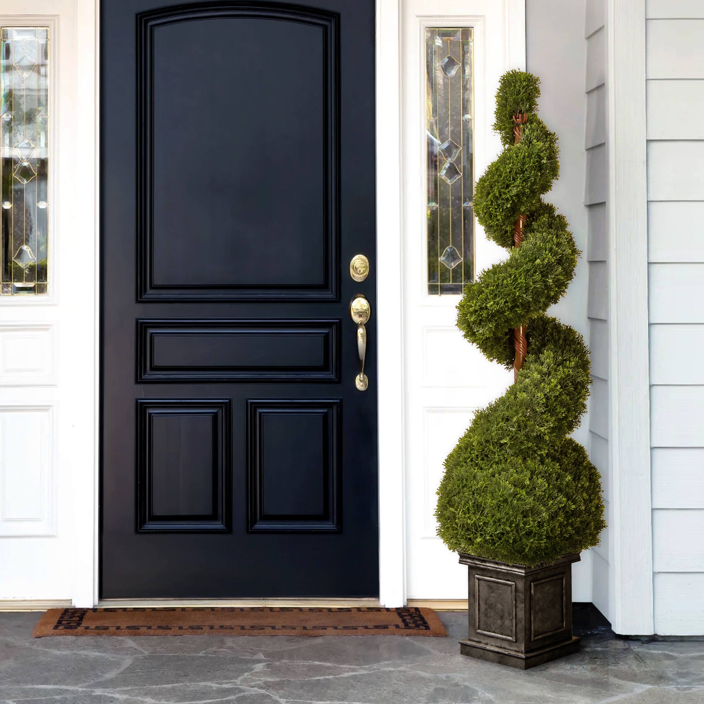 48&#x22; Cedar Spiral Tree with Ball in a Black Square Pot