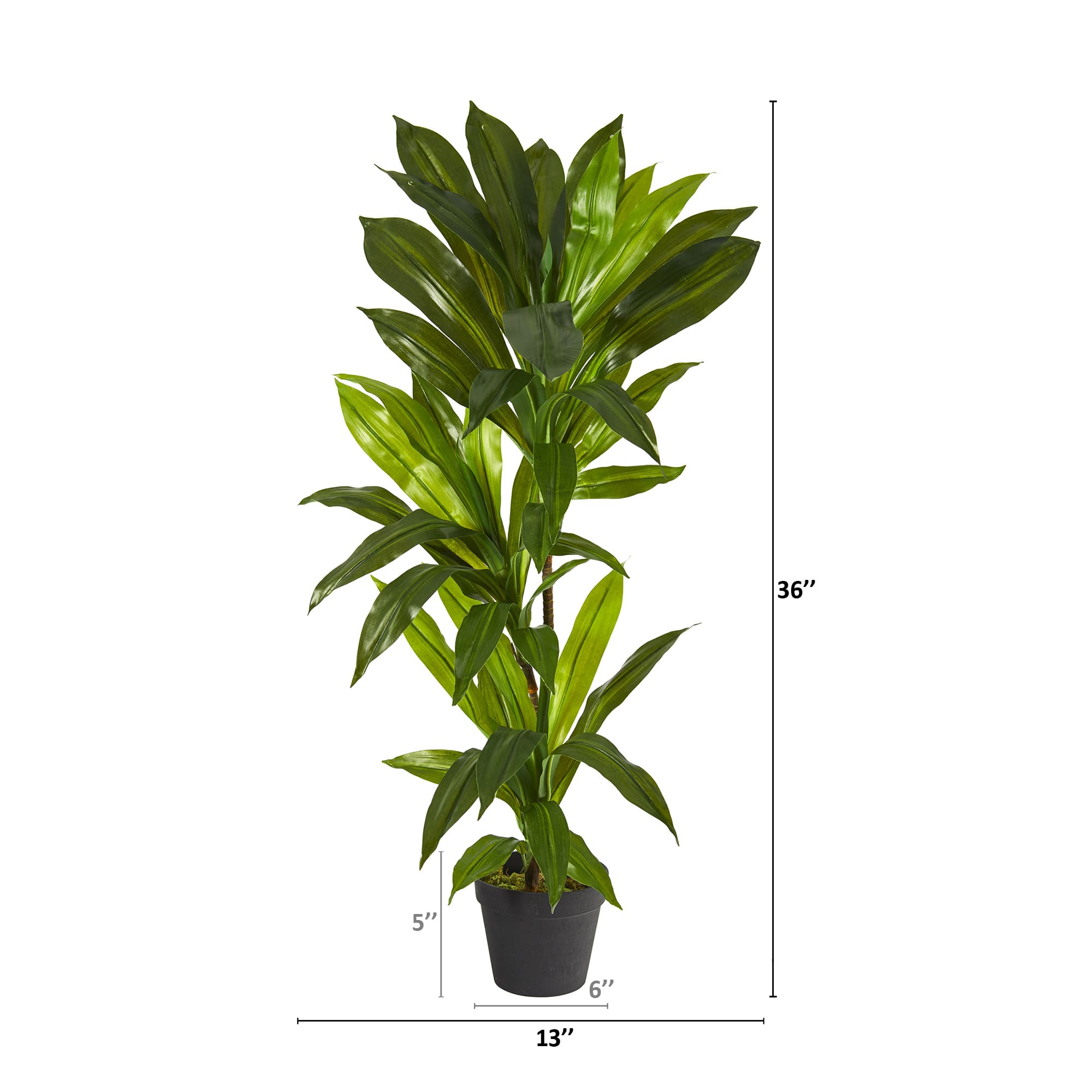 3ft. Dracaena Artificial Plant (Real Touch)
