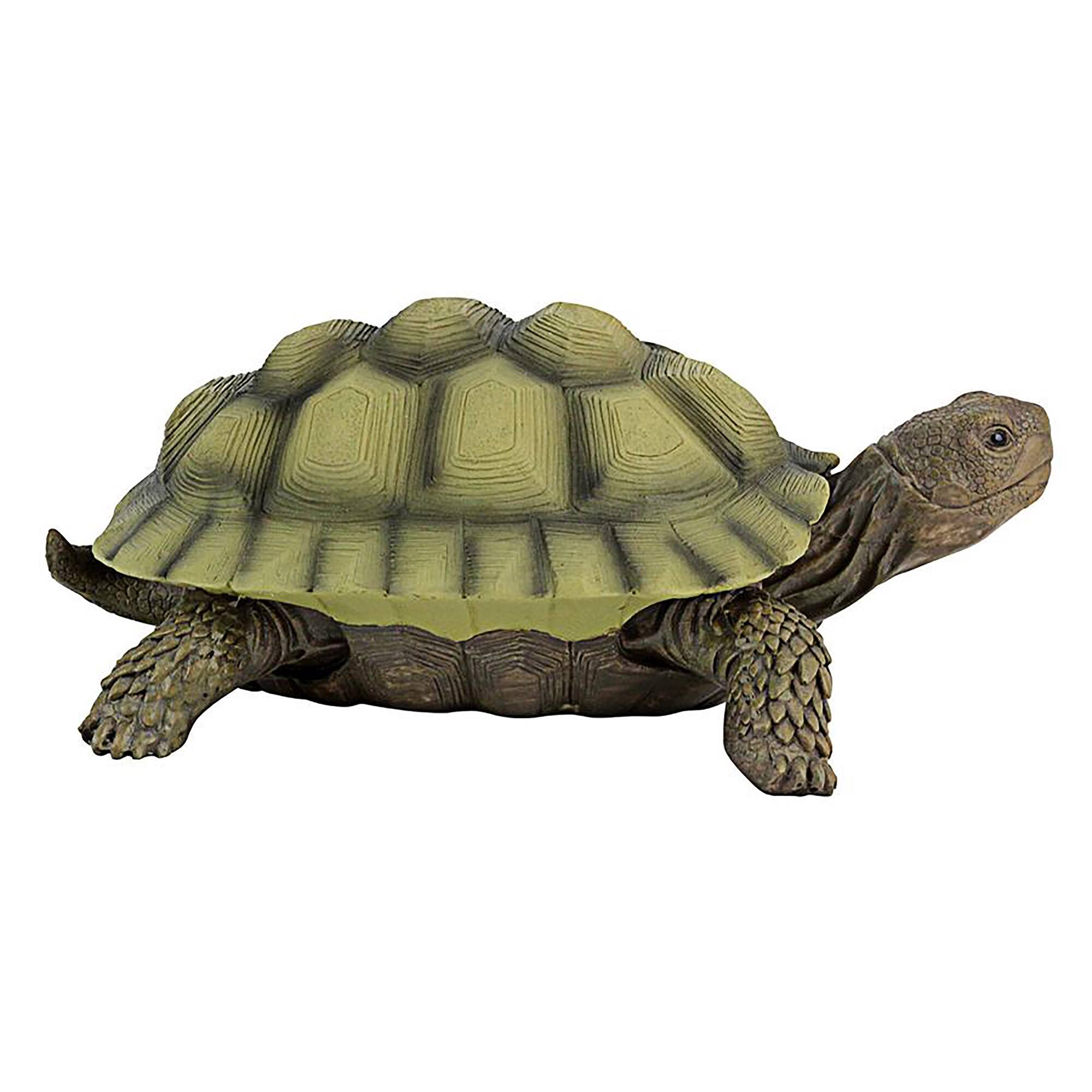 Design Toscano 3&#x22; Gilbert the Box Turtle Statues, 2ct.