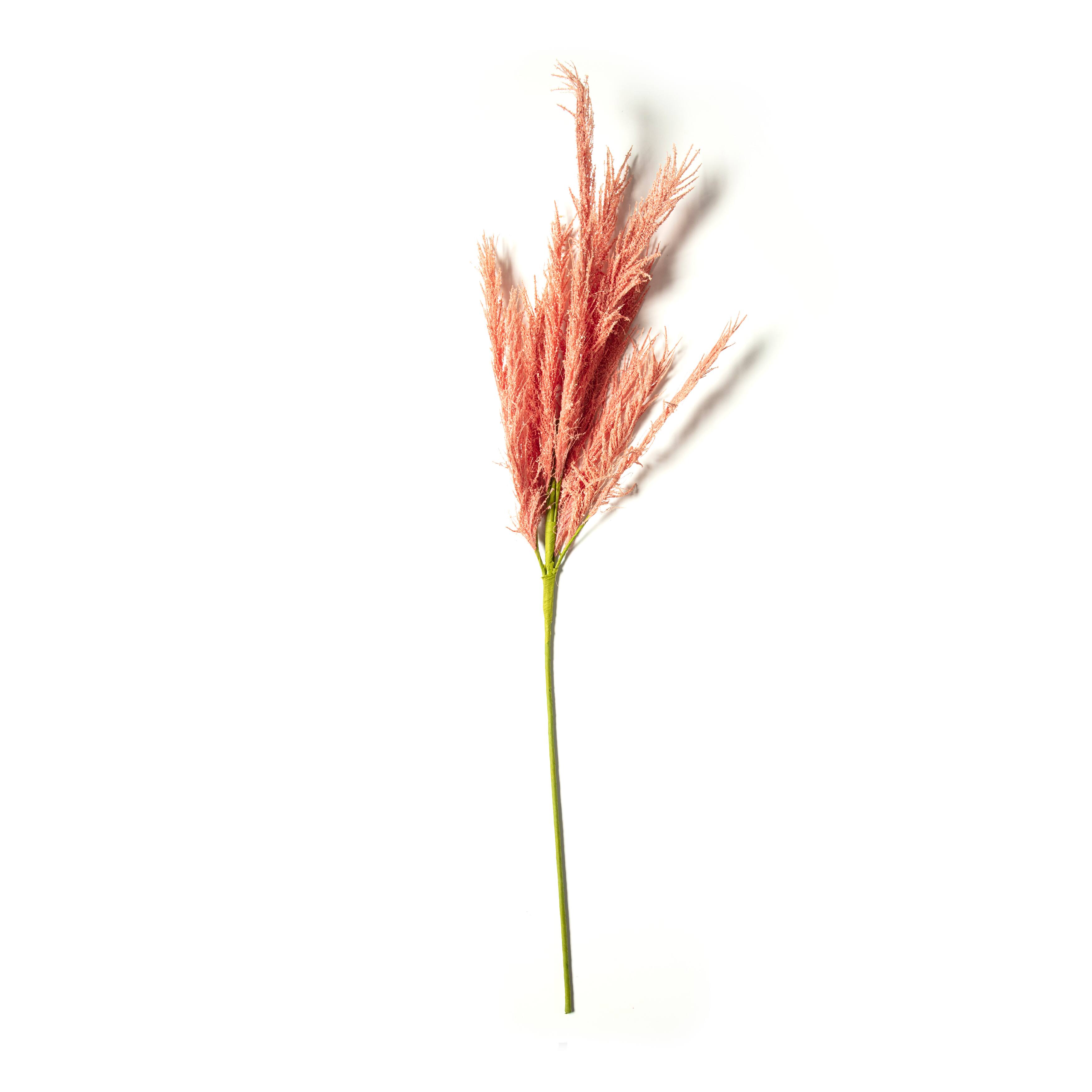 6 Pack: Peach Pampas Grass Stem by Ashland&#xAE;