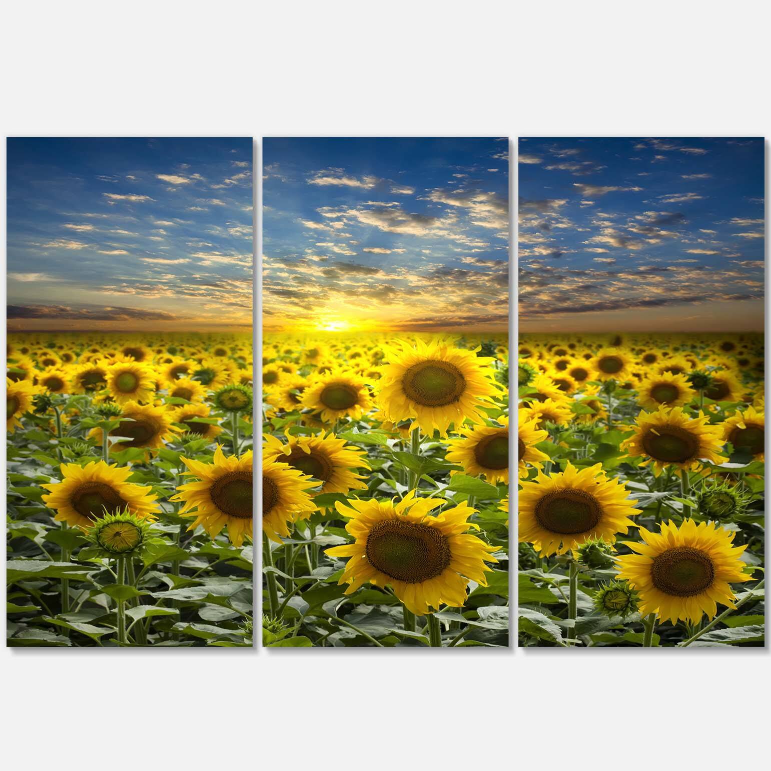 Designart - Field of Blooming Sunflowers - Large Flower Canvas Wall Art