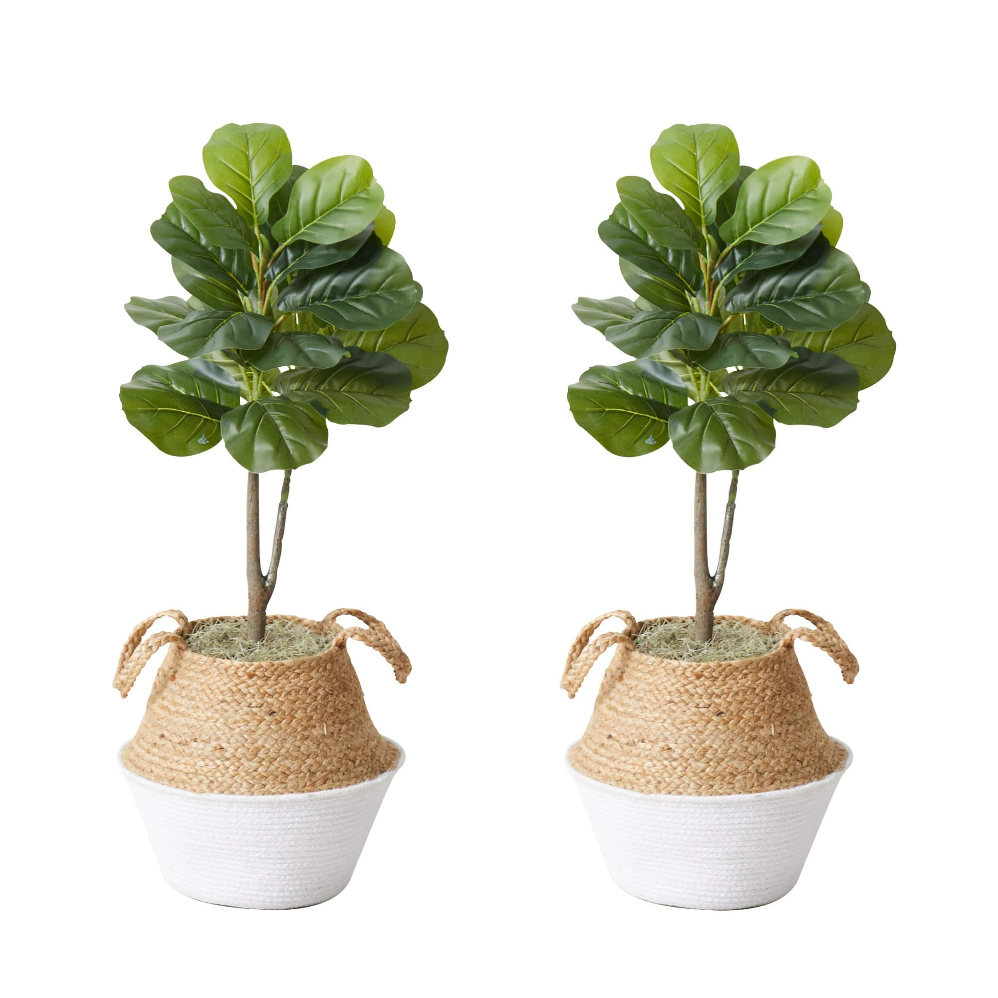 3ft. Artificial Fiddle Leaf Fig Tree With Handmade Cotton & Jute Woven Planter Set DIY Kit