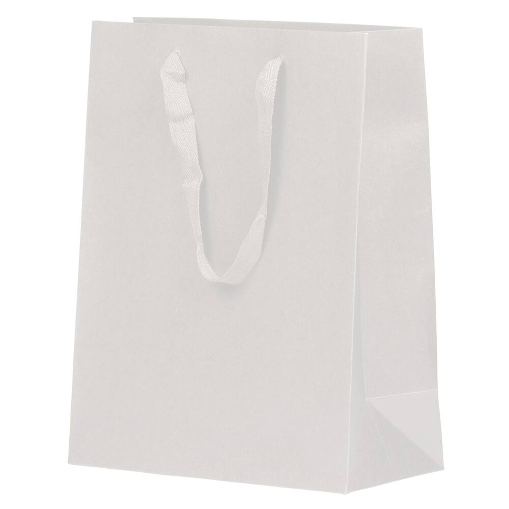 JAM Paper Large White Matte Heavy Duty Kraft Gift Bags, 10ct.