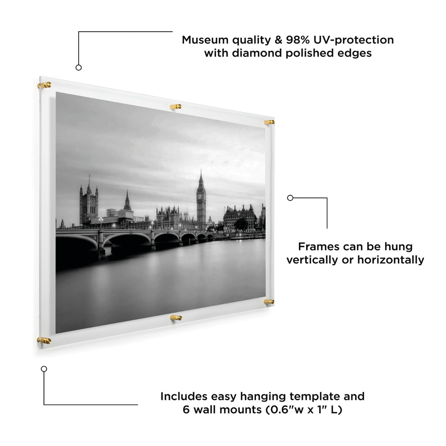 Wexel Art Double Panel Clear Acrylic Floating Wall Frame with Gold Hardware