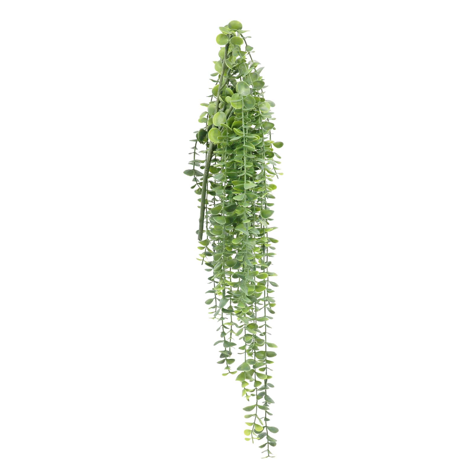 26&#x22; Hanging Eucalyptus Bush by Ashland&#xAE;