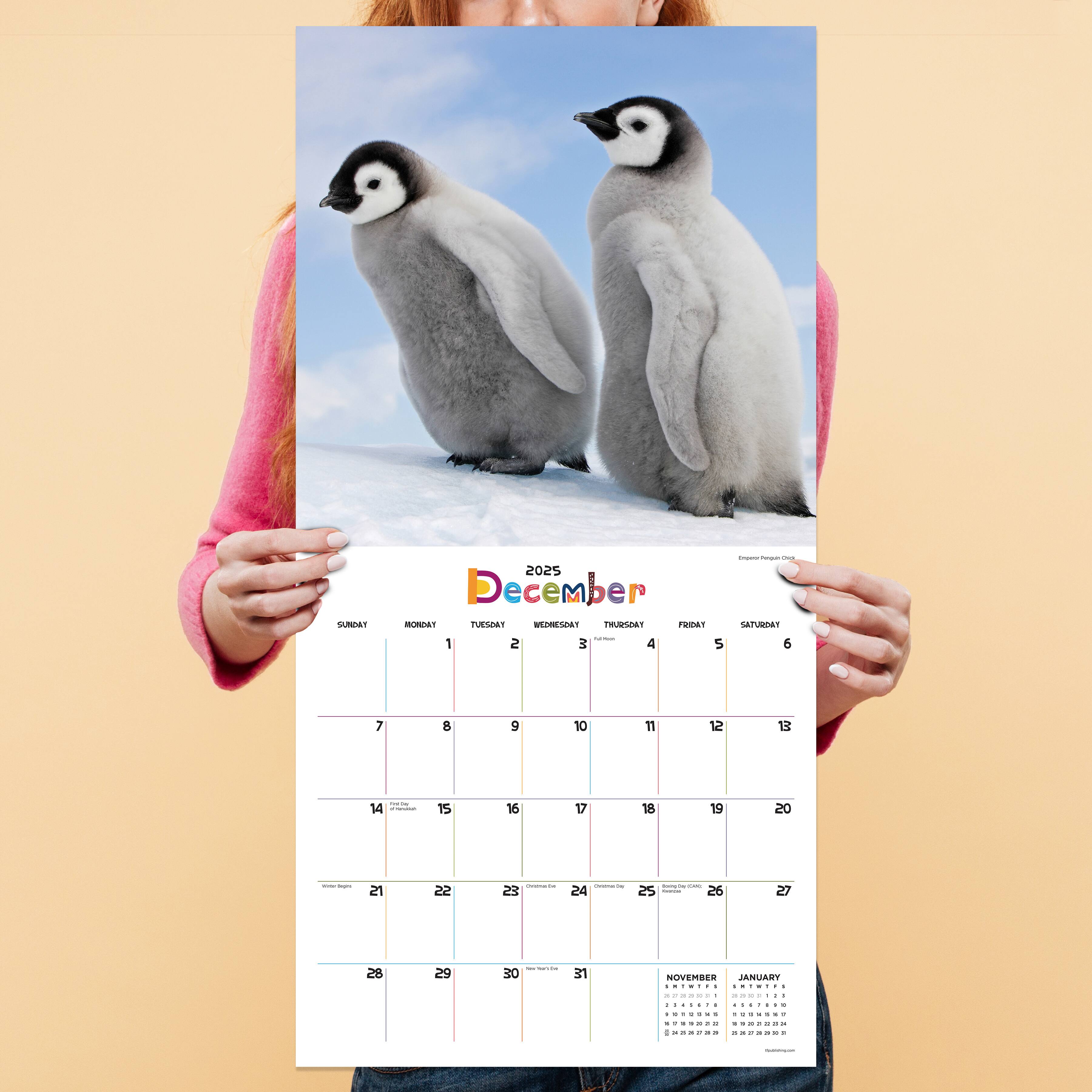 TF Publishing 2025 Baby Animals Wall Calendar