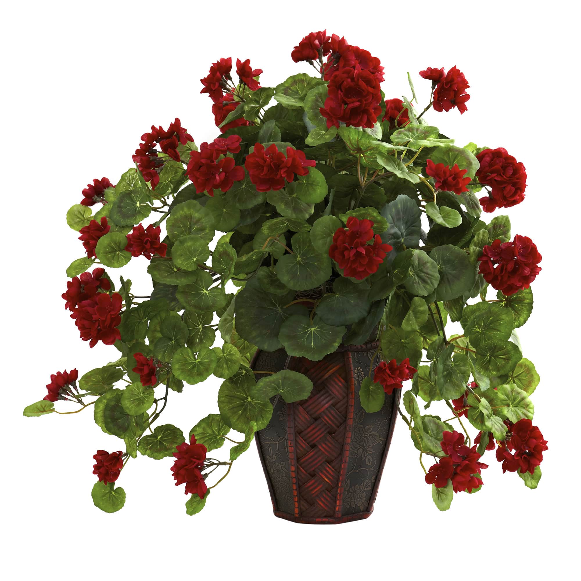 22'' Geranium with Decorative Planter