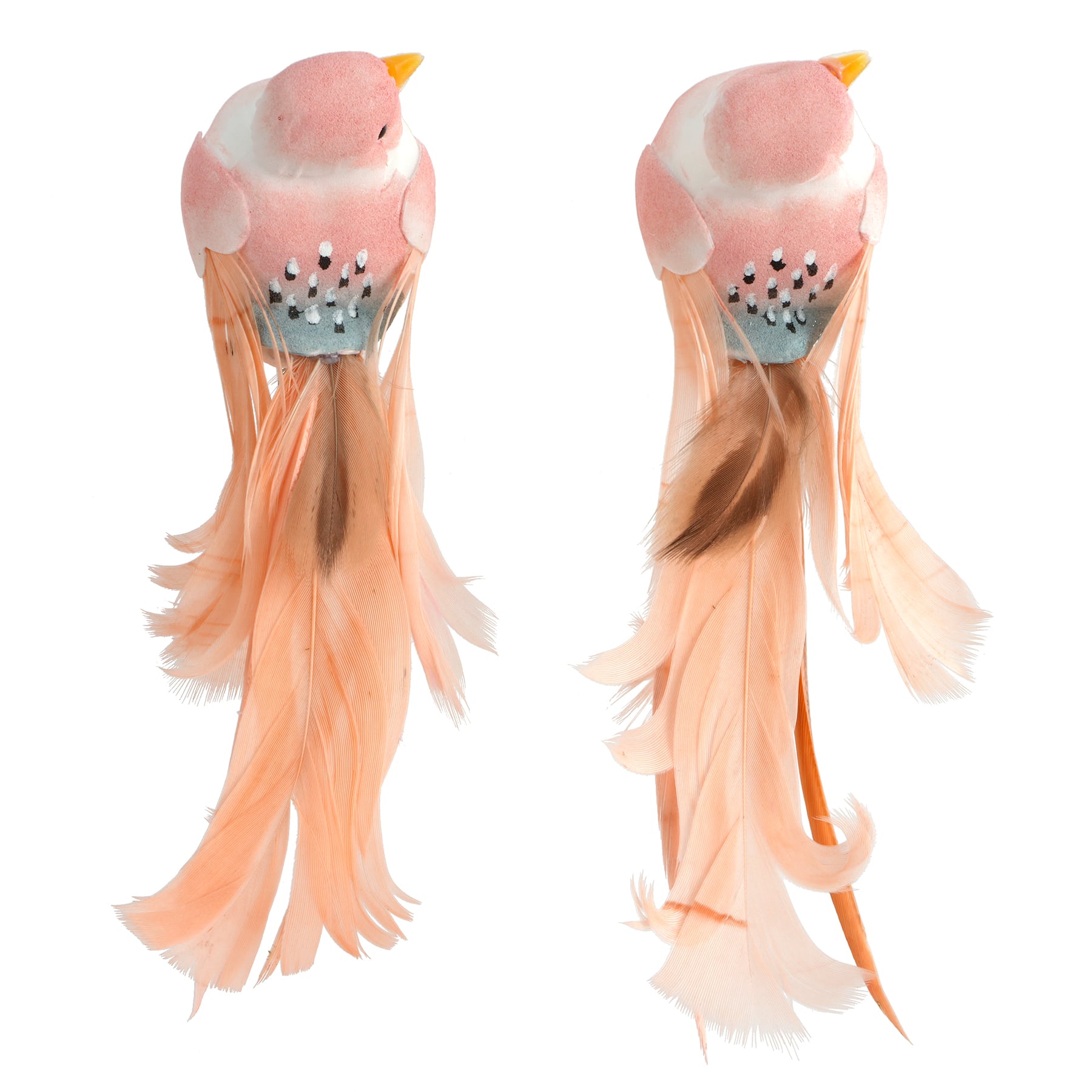 Decorative Feather Birds, 2ct. by Ashland&#xAE;