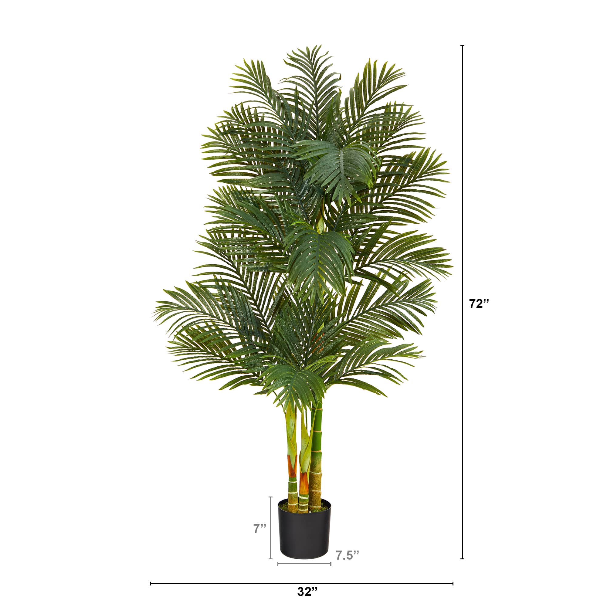6ft. Potted Golden Cane Palm Tree