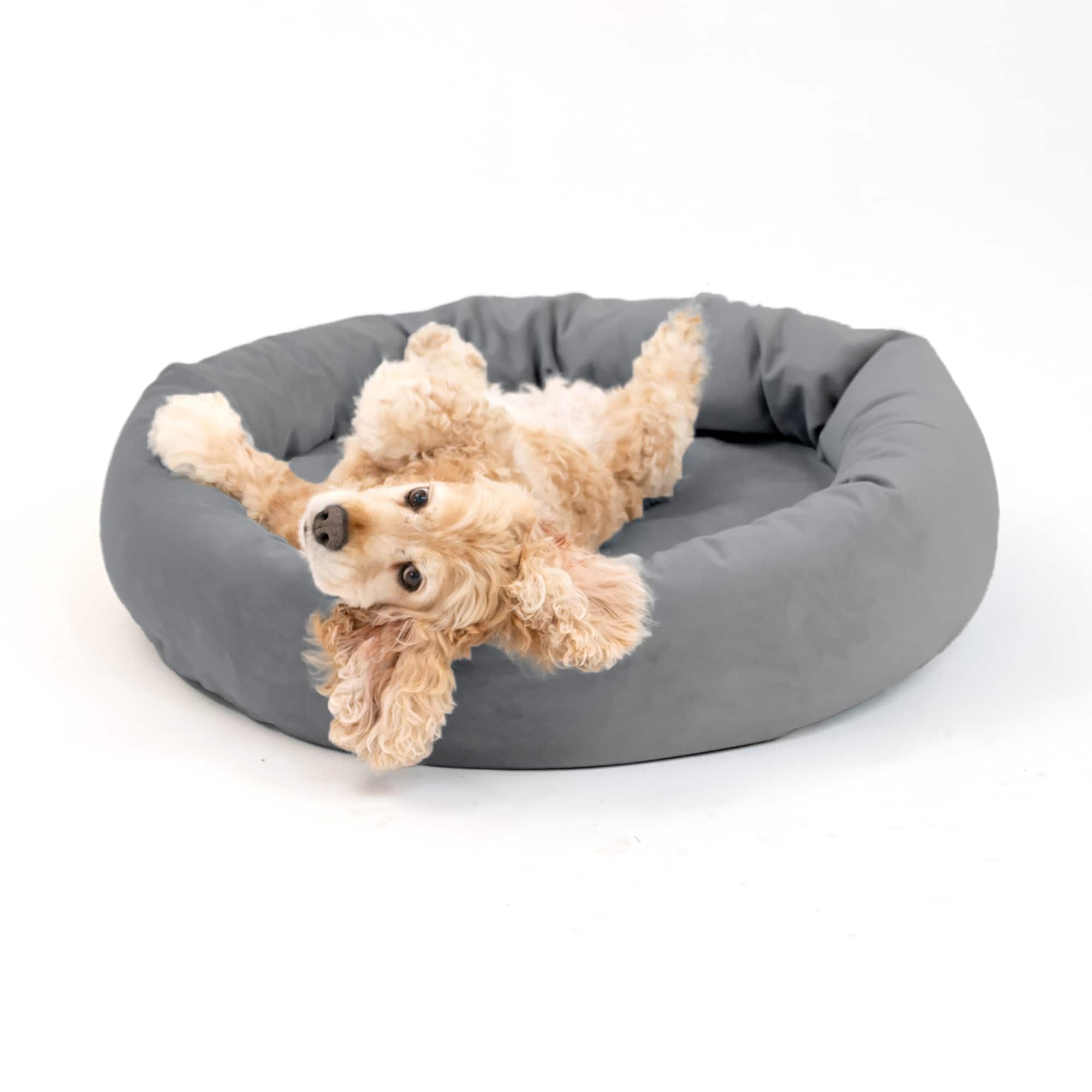 Royal Pet Bed Medium Washable Luxury Velvet Dog Bed