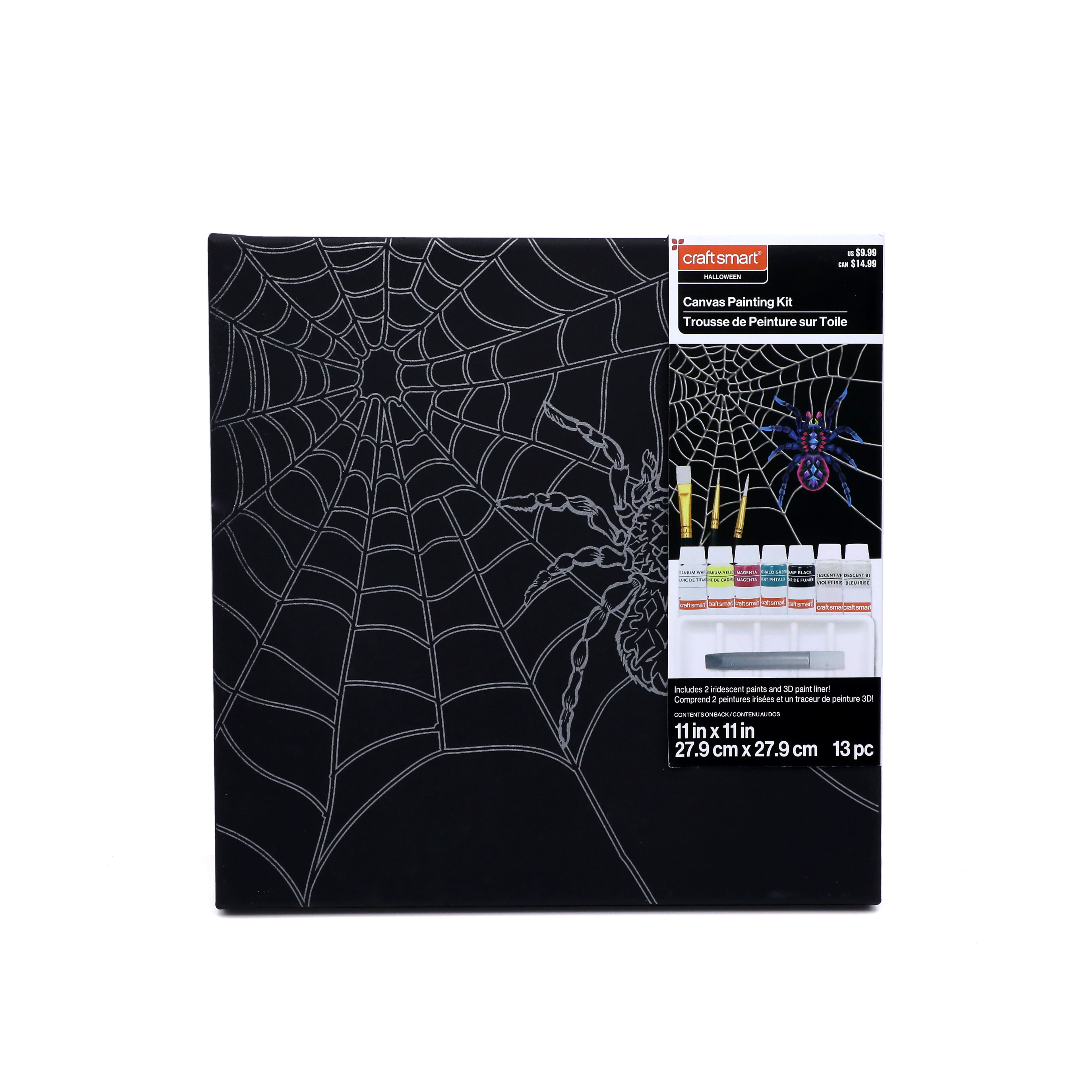 11&#x22; x 11&#x22; Spider Web Canvas Painting Kit by Craft Smart&#xAE;
