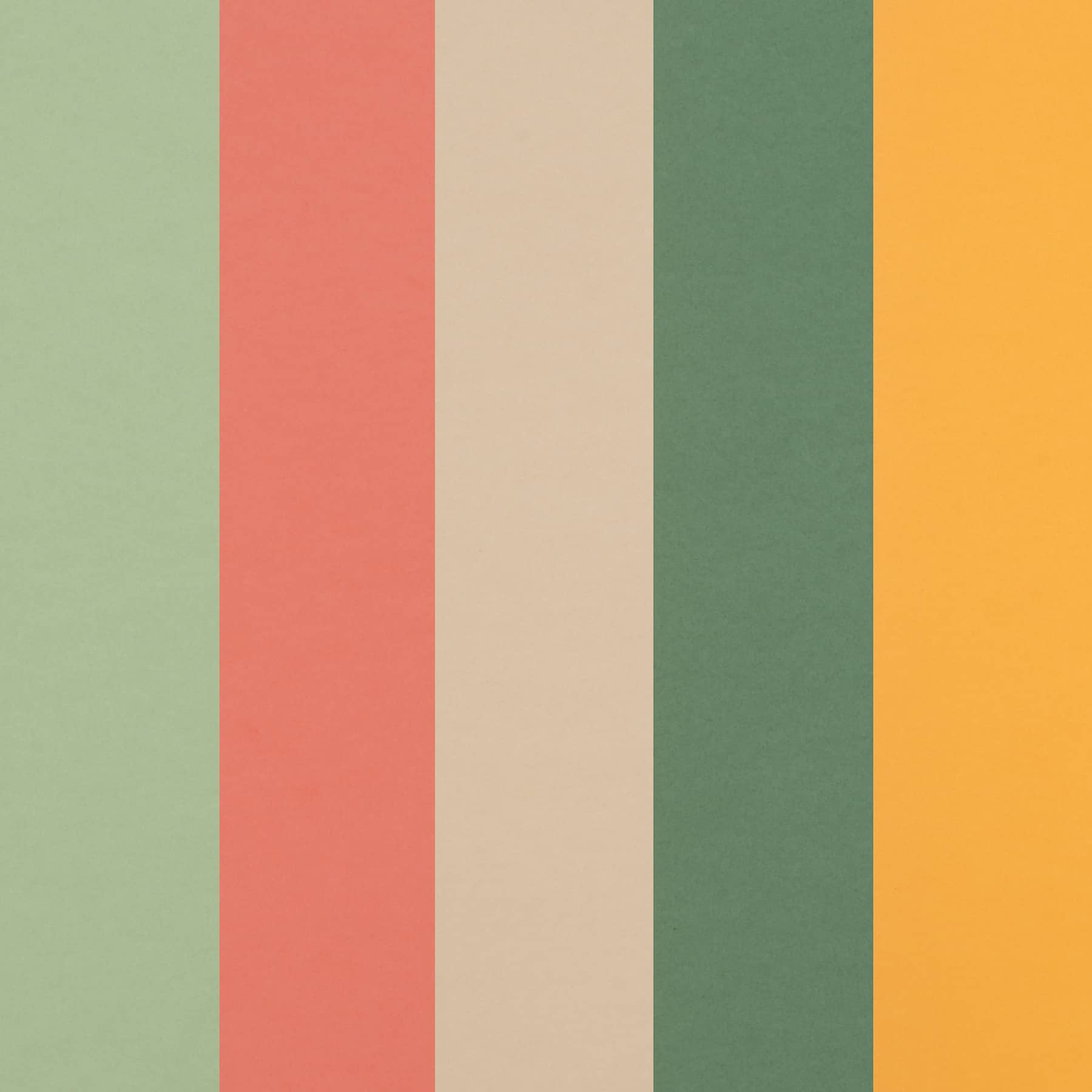 8.5" x 11" 65lb. Cardstock Paper Pack by Recollections™, 50 Sheets