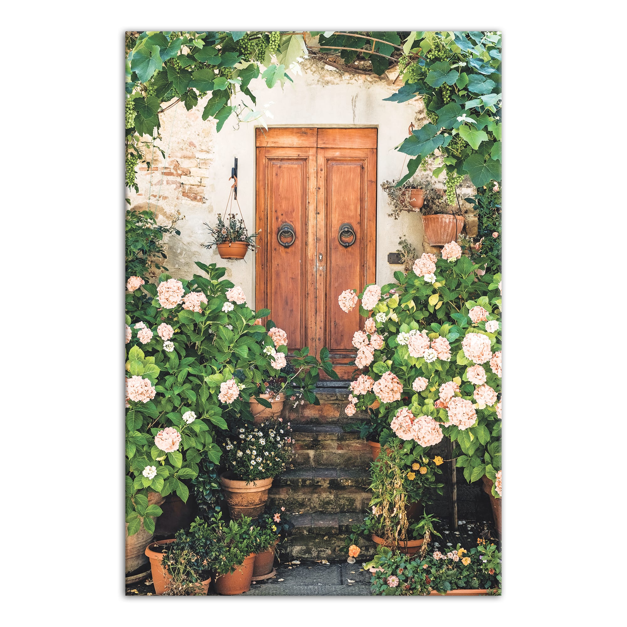 Wooden Door Hydrangeas 20&#x22; x 30&#x22; Canvas Wall Art
