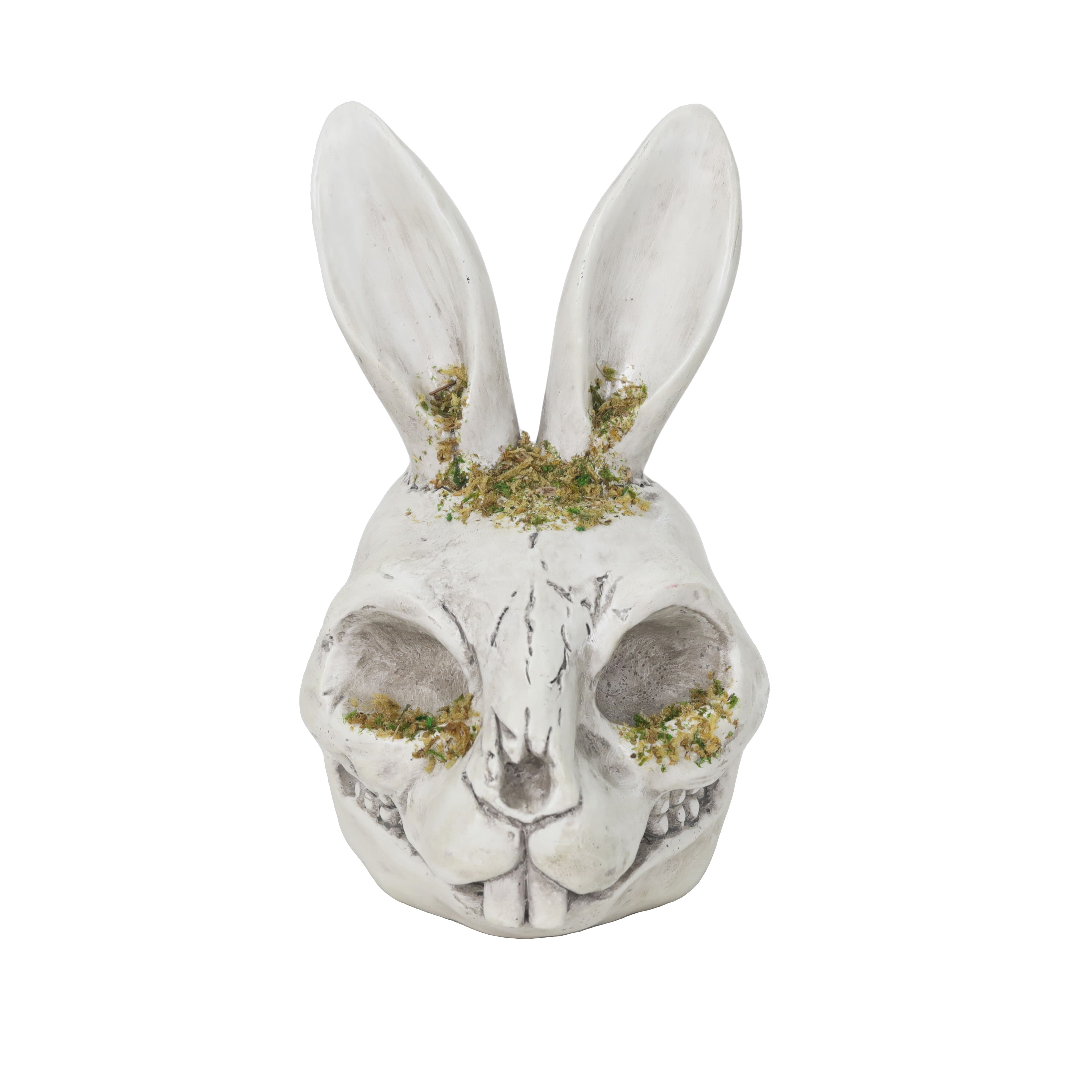5.75&#x22; Rabbit Skull by Ashland&#xAE;