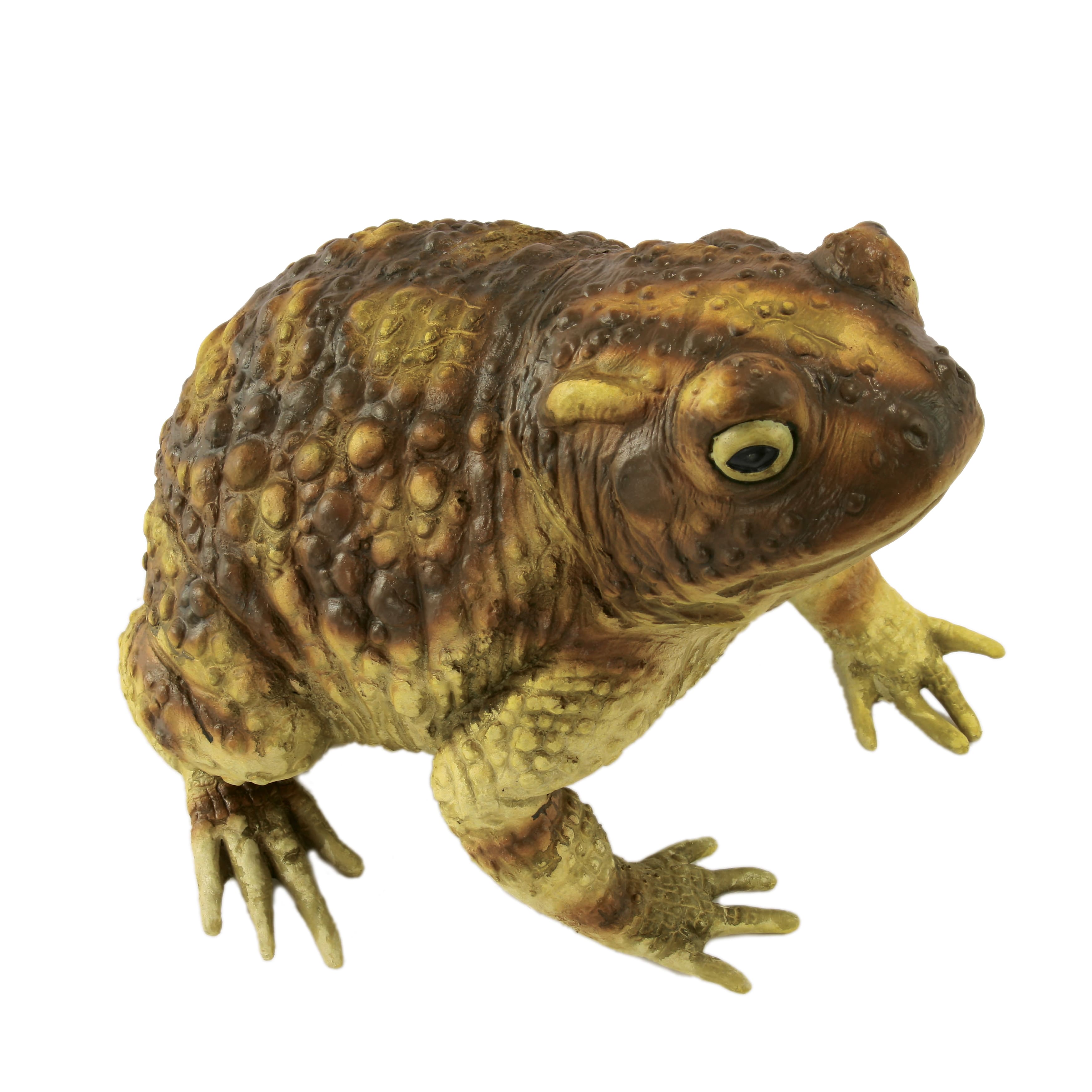 10&#x22; Green Frog by Ashland&#xAE;