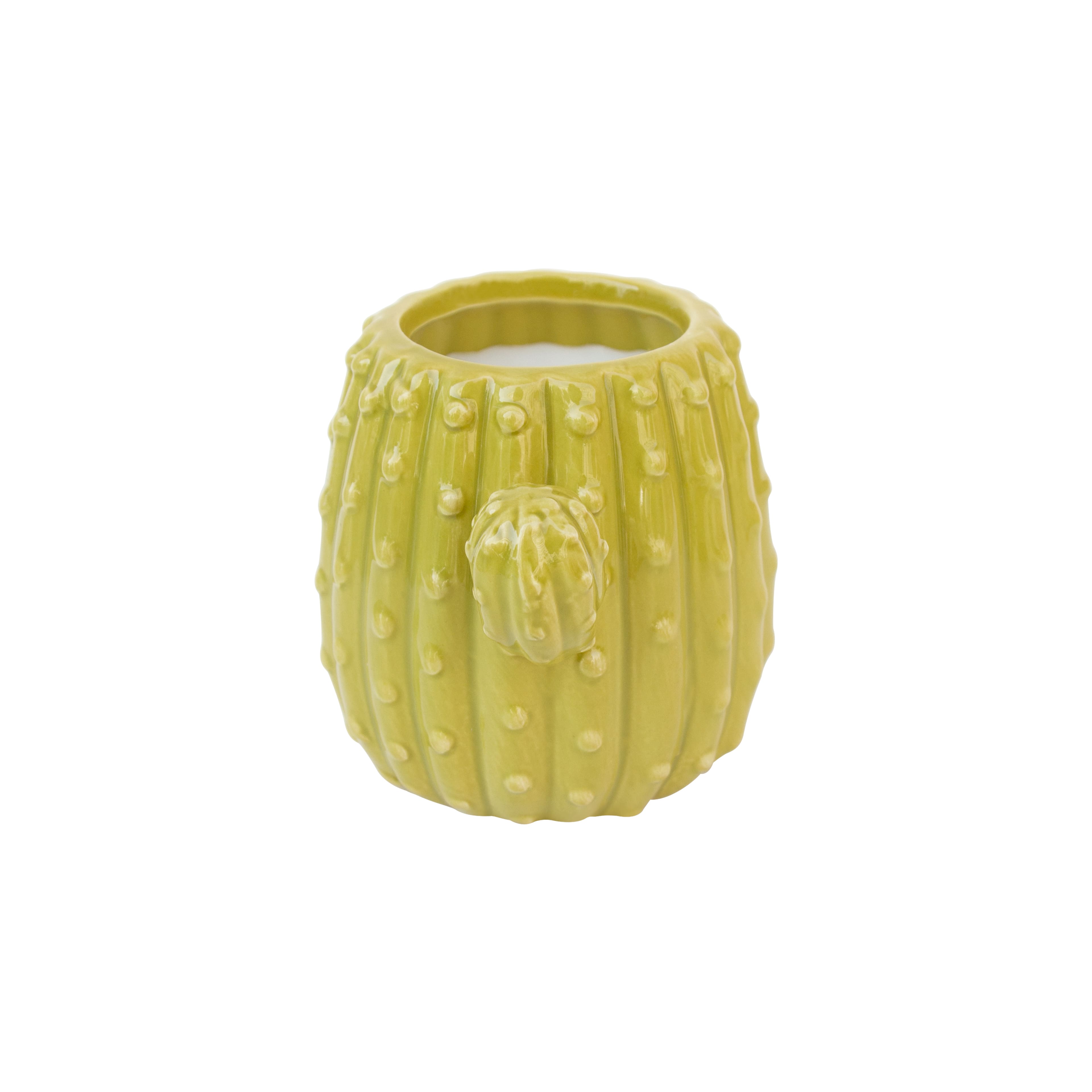 Santal Woods Scented Cactus Candle by Ashland&#xAE;