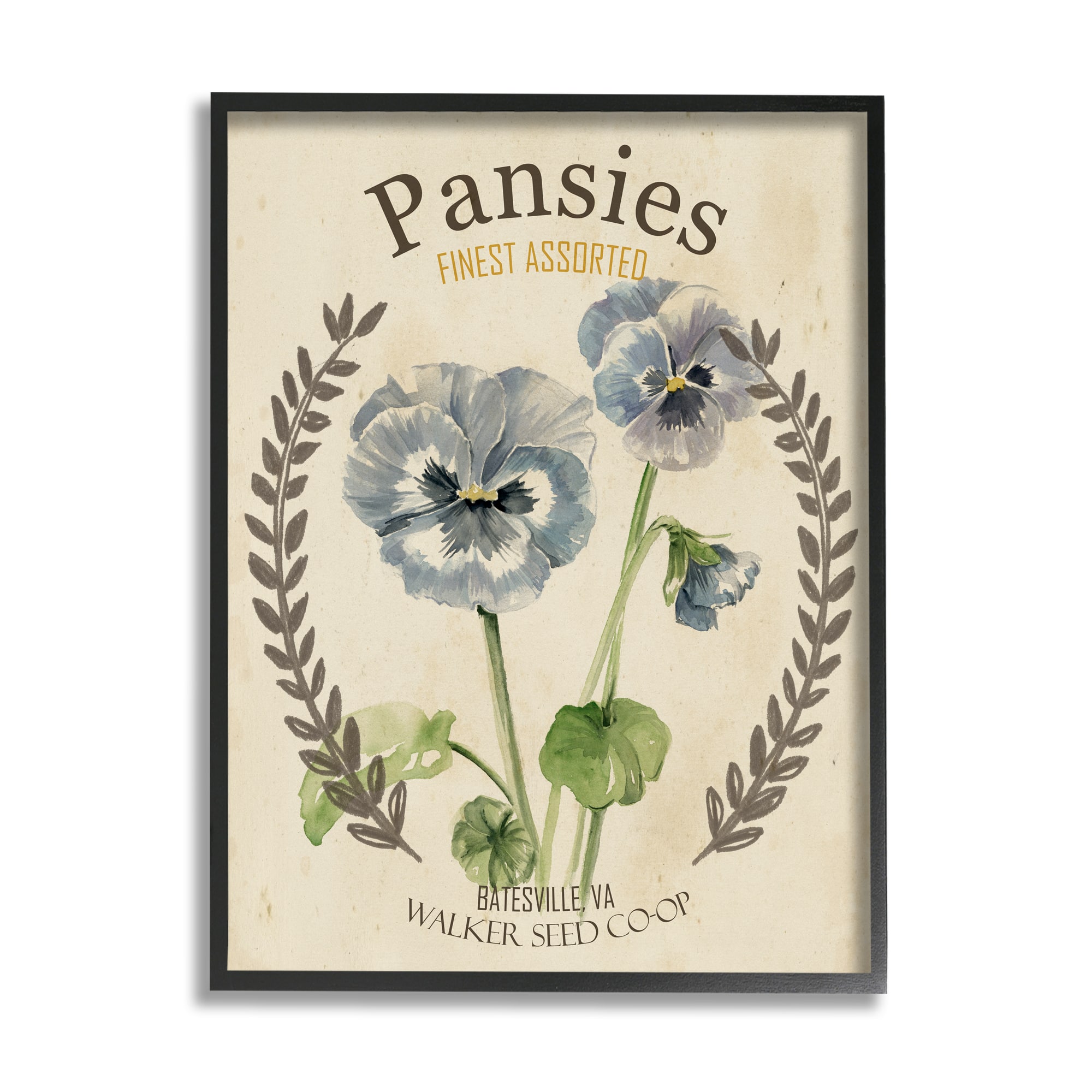 Stupell Industries Blue Assorted Pansies Vintage Floral Seed Packet Framed Wall Art