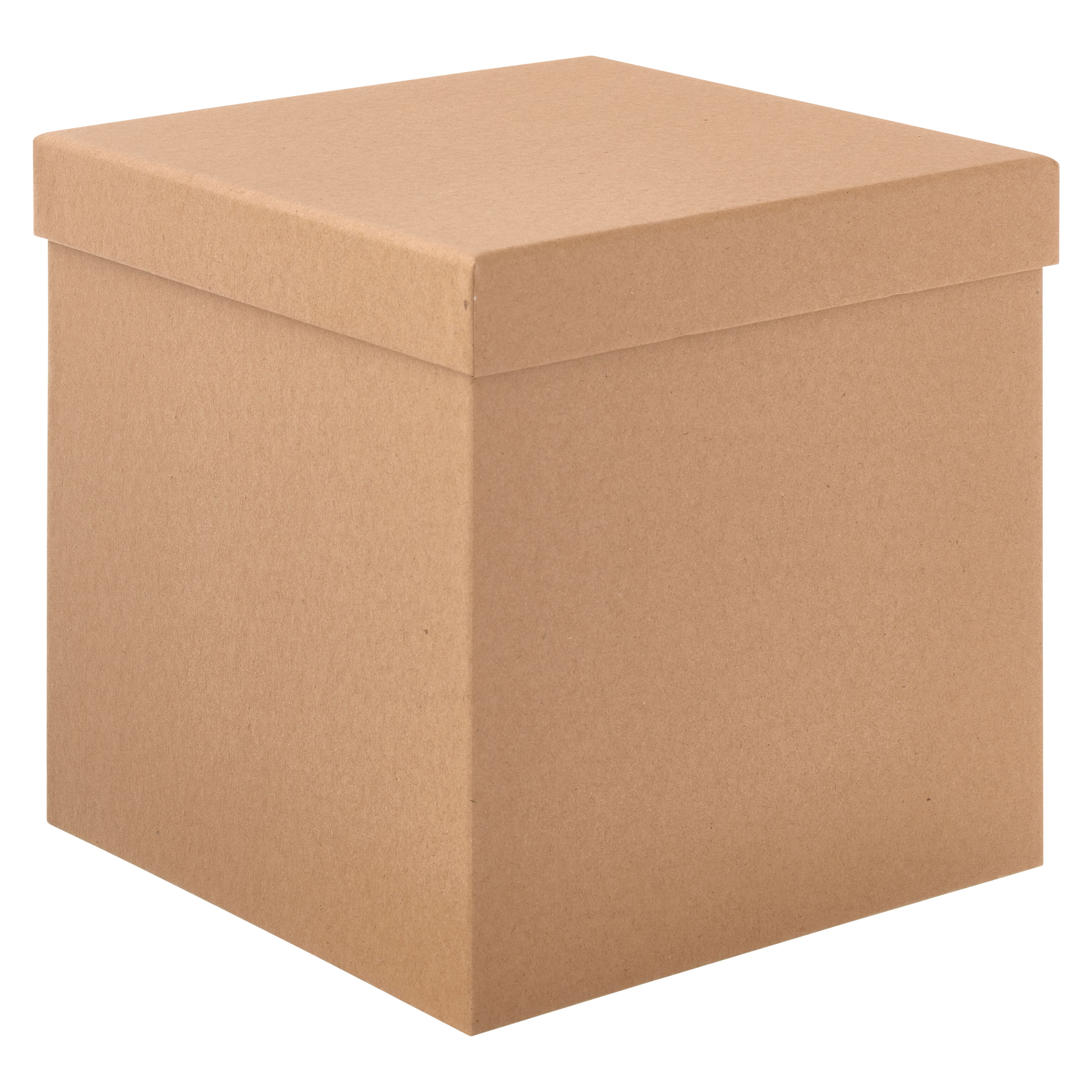 Cardboard store gift box