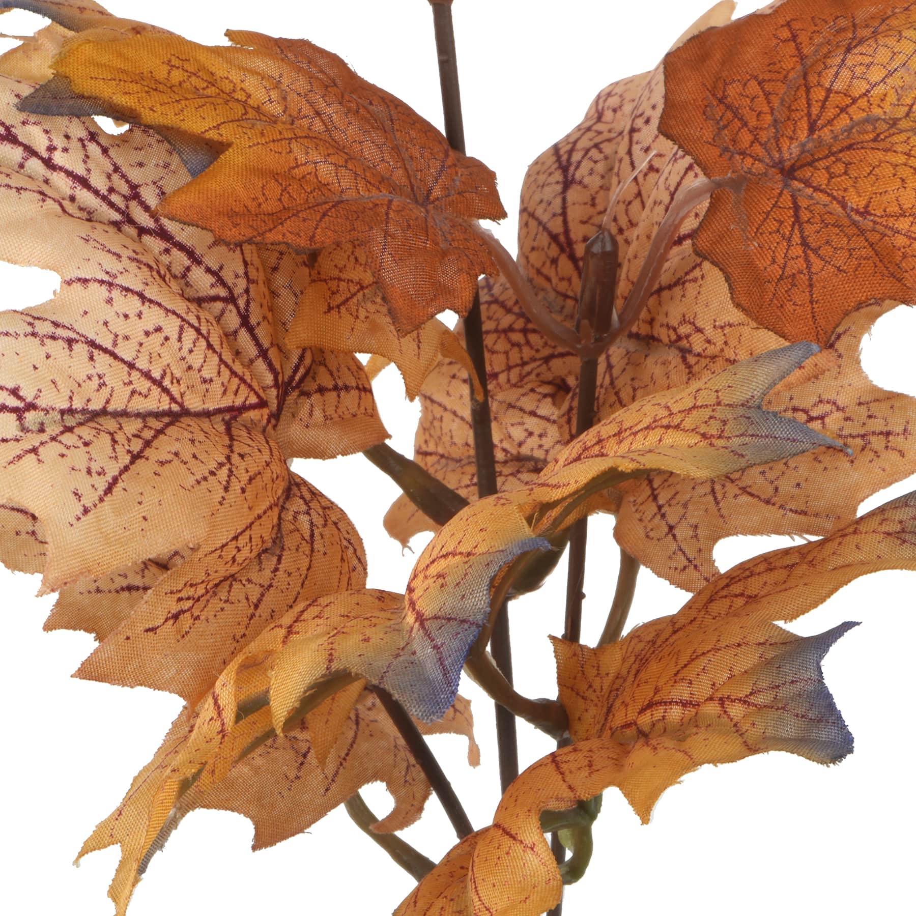 10.5" Mini Maple Leaf Bundle by Ashland