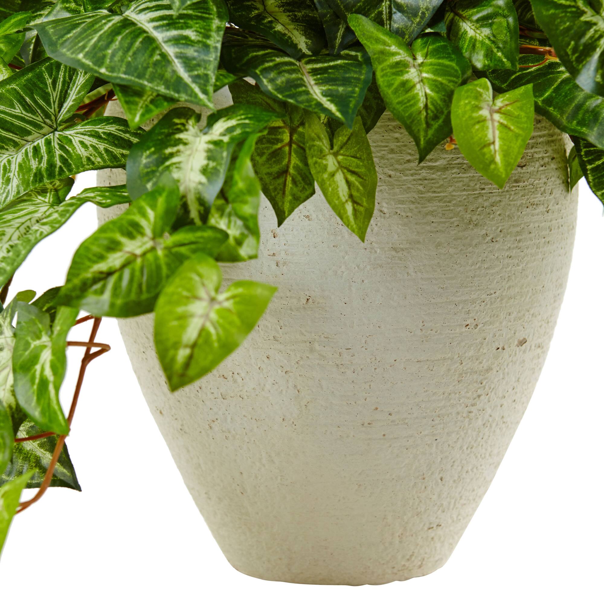 2ft. Nephthytis Artificial Plant in White Planter