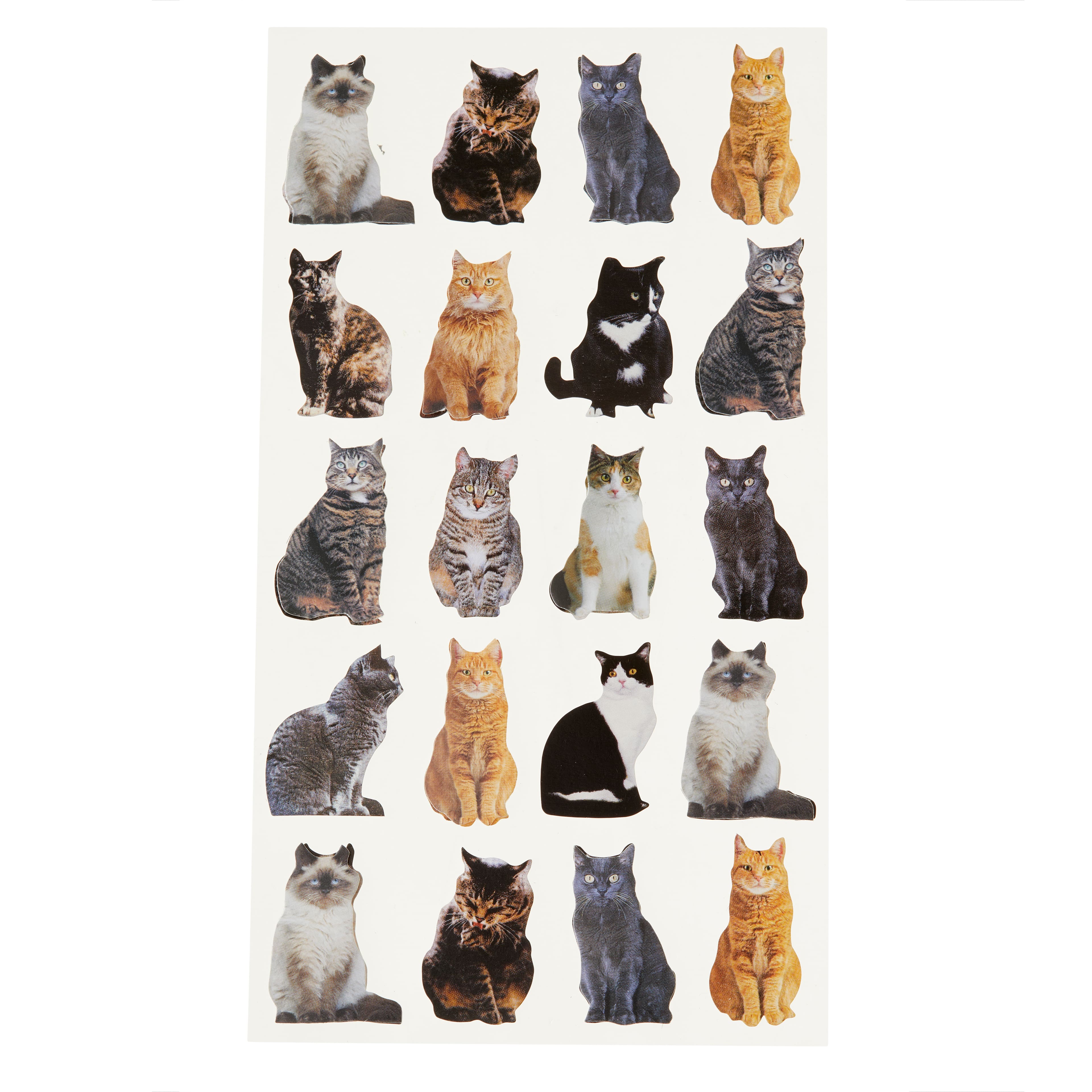 12 Packs: 20 ct. (240 total) Mini Cat Stickers by Recollections™
