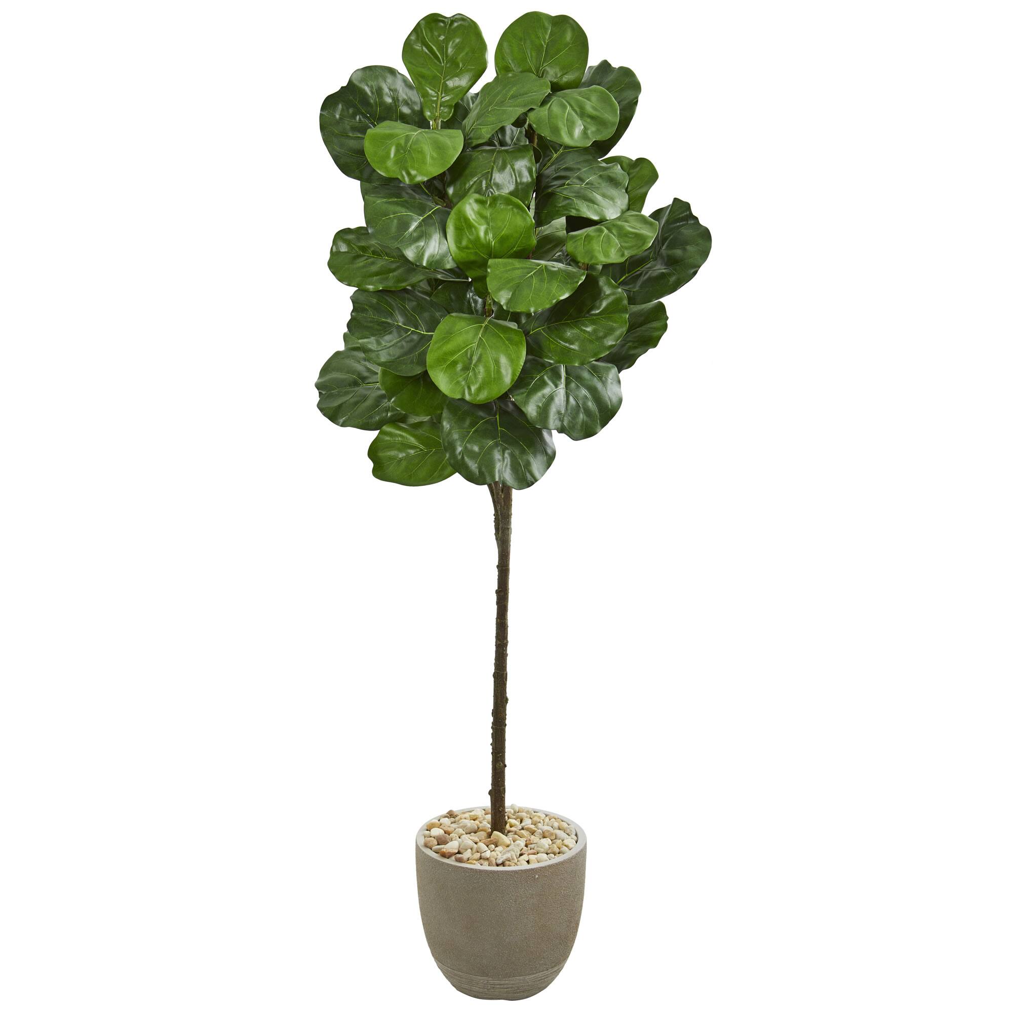 5.5ft. Fiddle Leaf Tree in Sand Stone Finish Planter