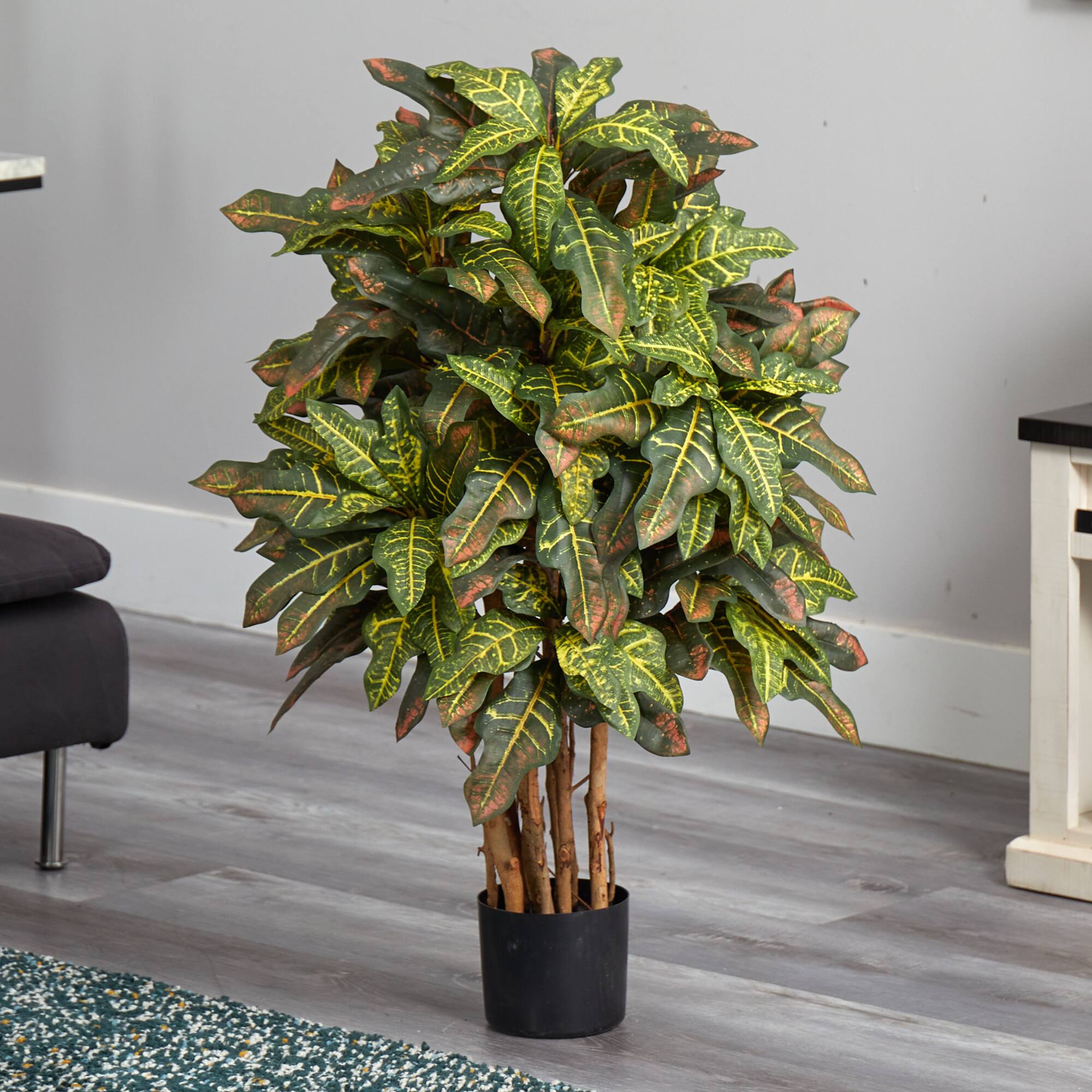 3ft. Potted Croton Tree