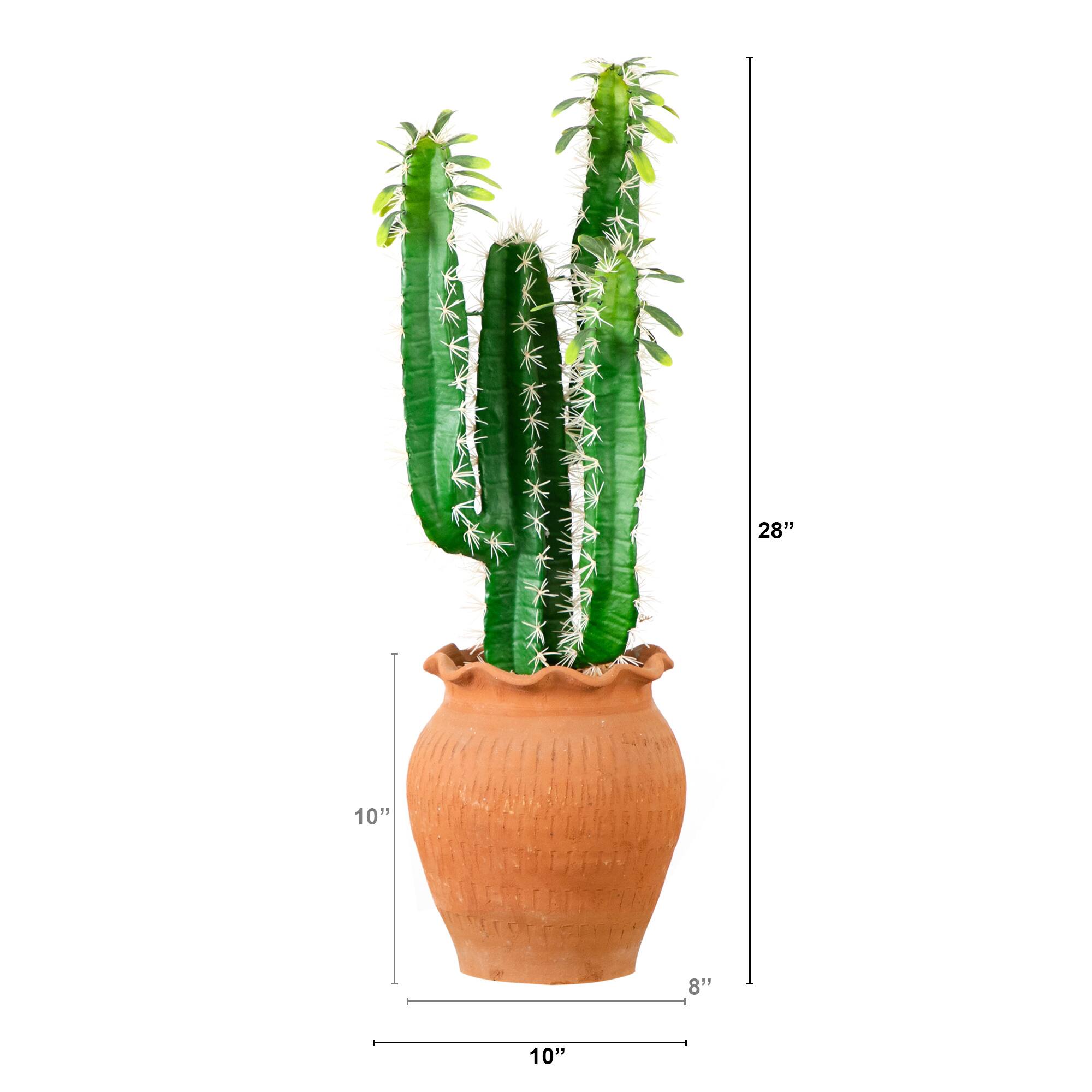 2ft. Cactus in Terracotta Planter