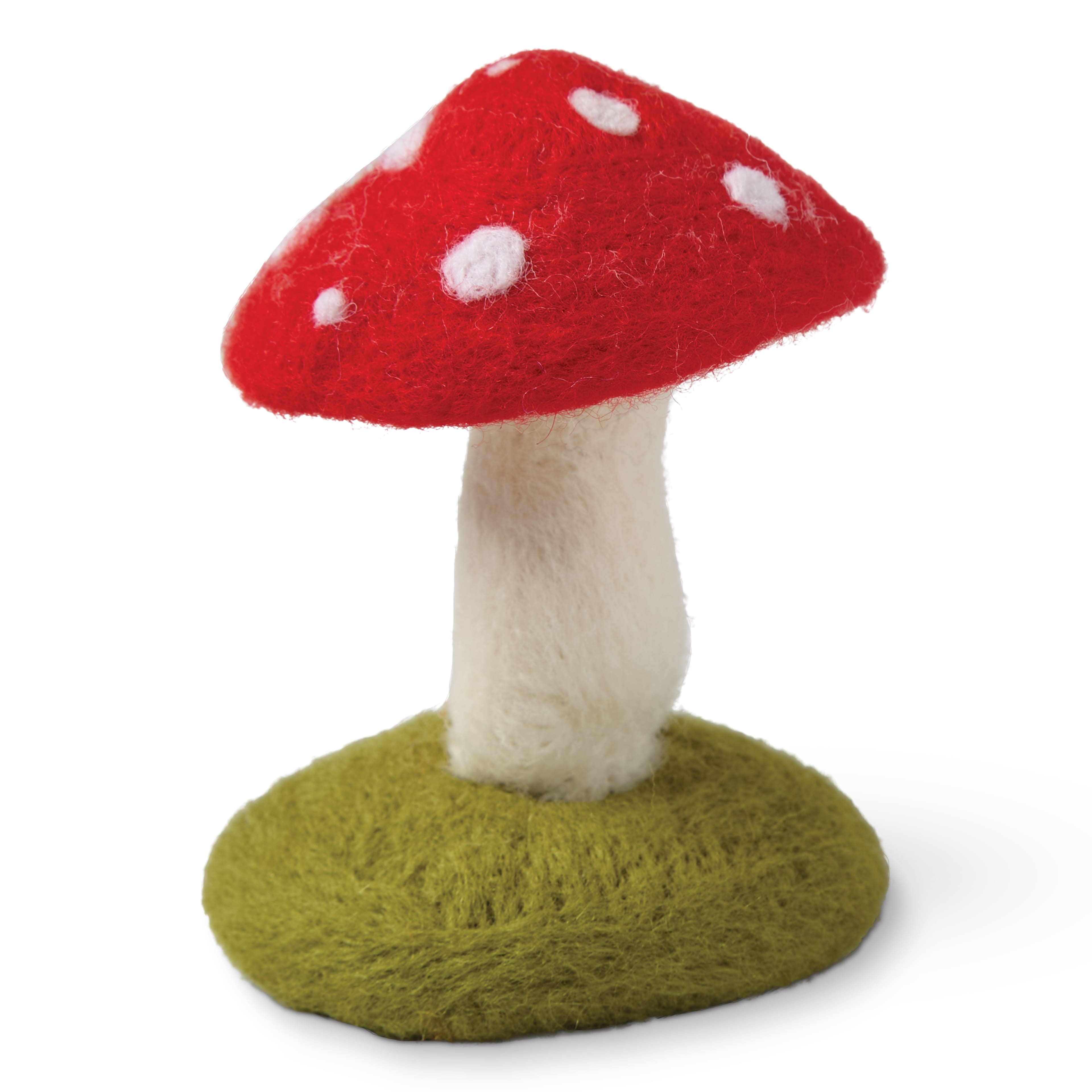 Mushroom Felting Kit by Loops & Threads®