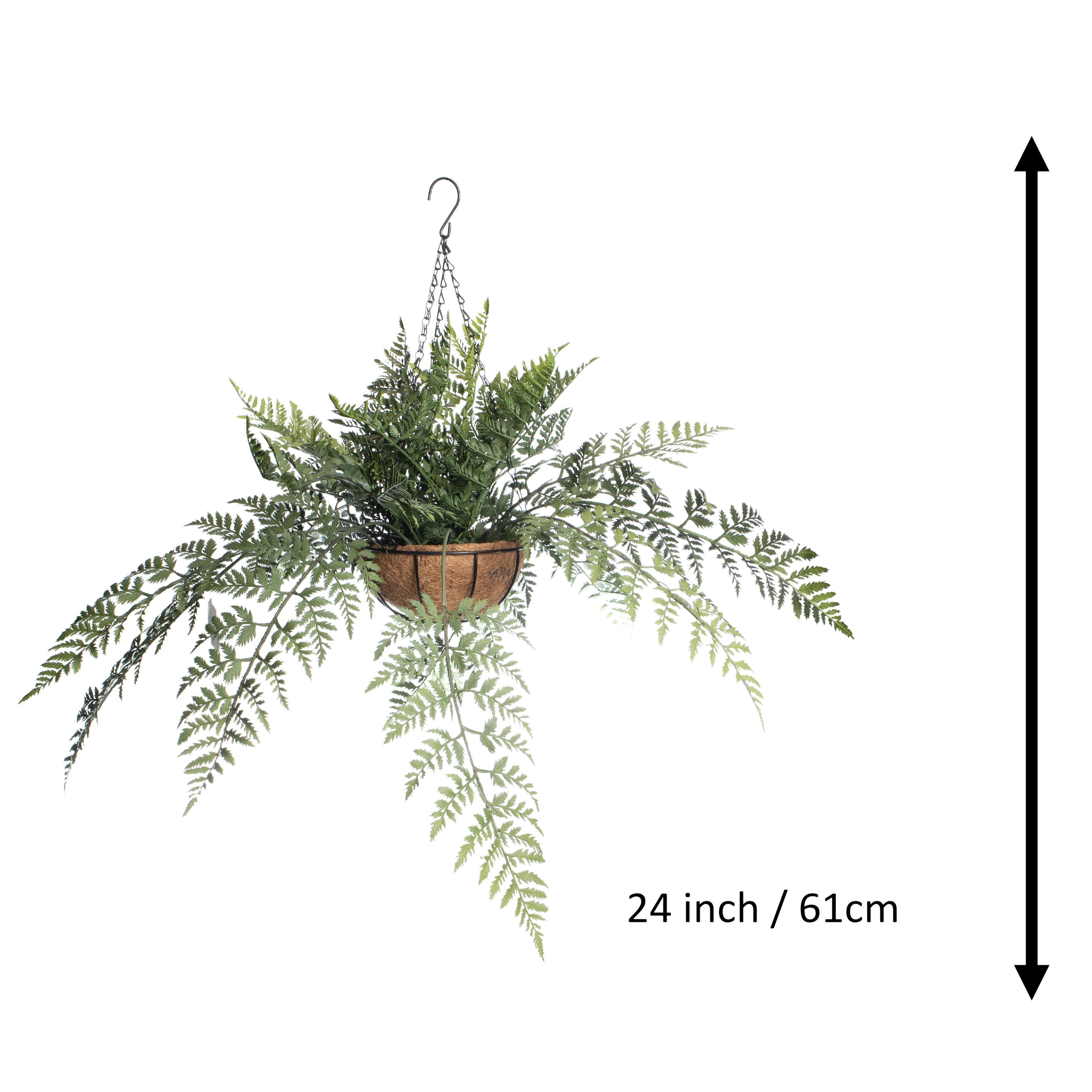 2ft. Lace Fern in Hanging Basket by Ashland&#xAE;