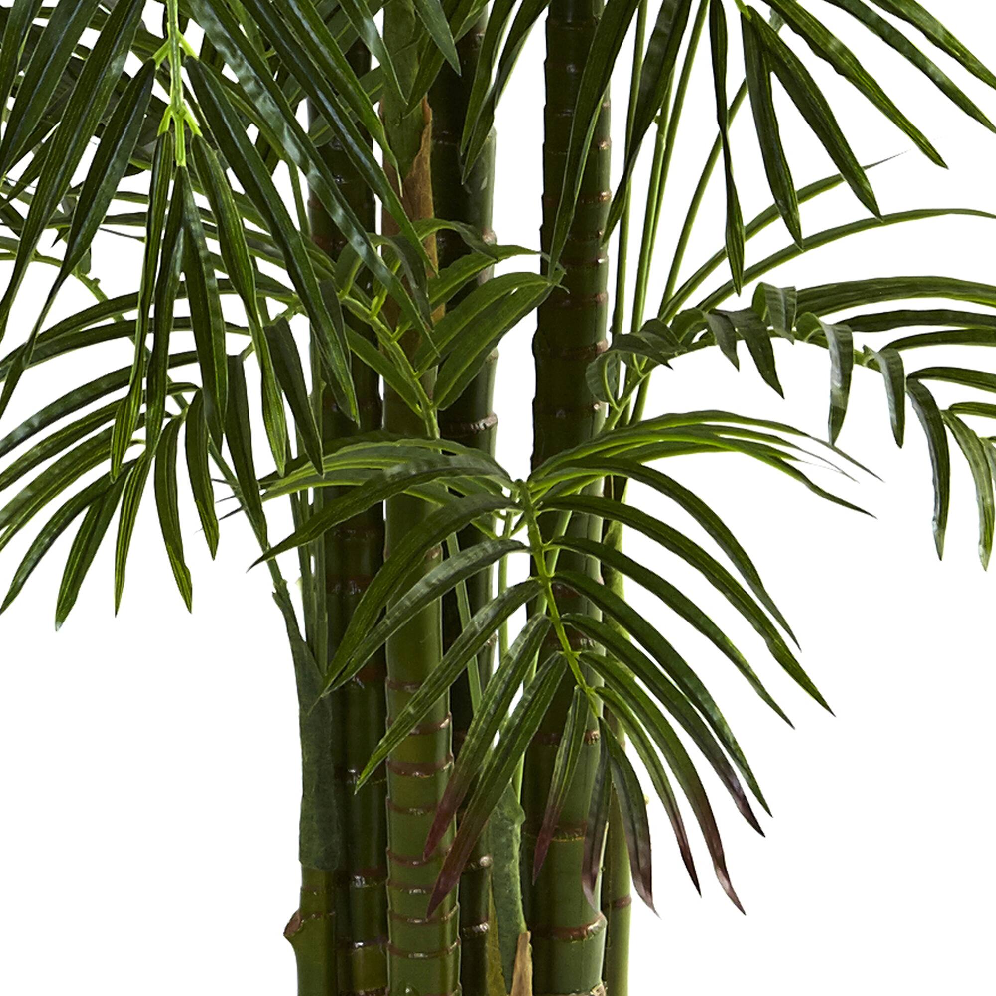 6.5ft. Potted Areca Palm