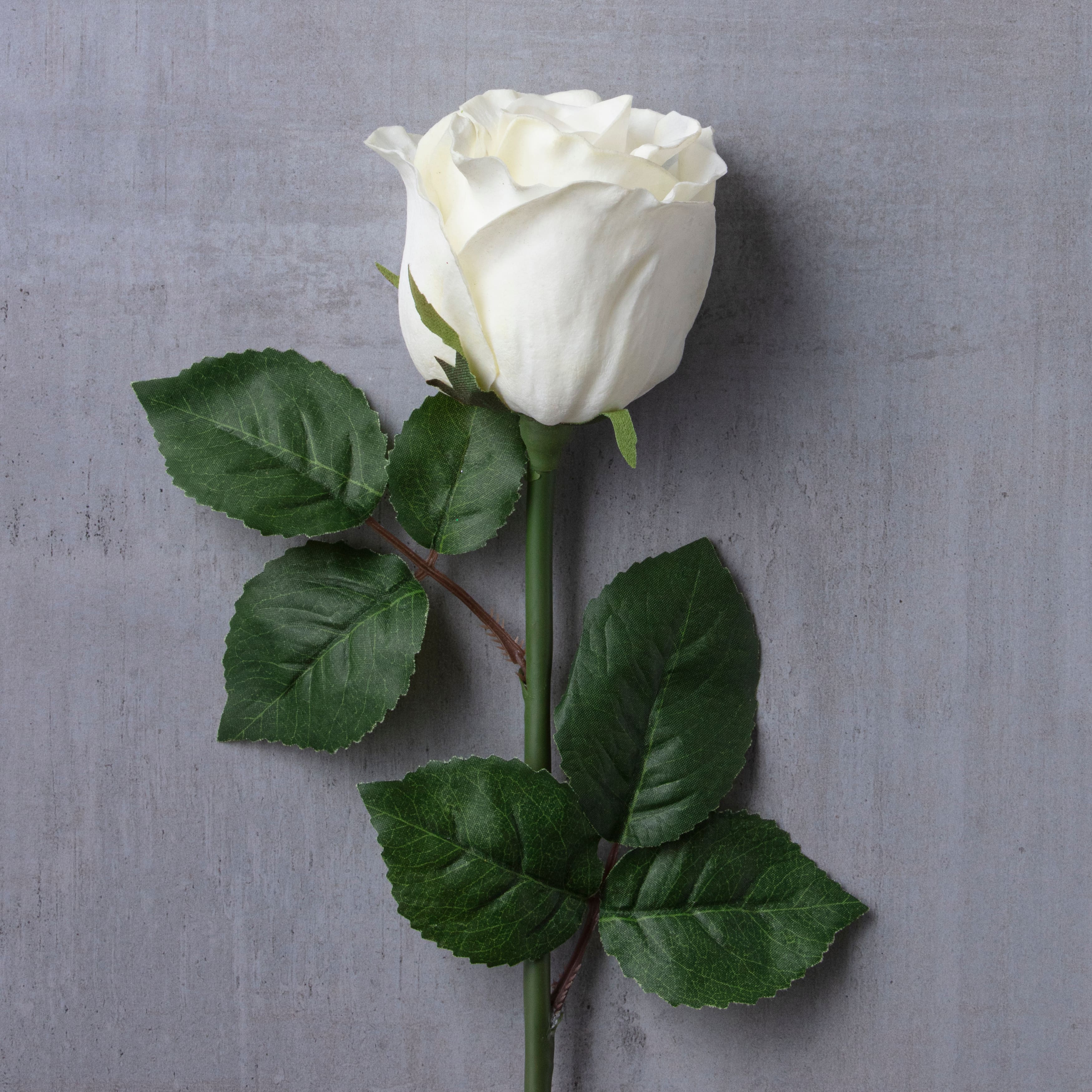 12 Pack: White Faux Rose by Ashland&#xAE;