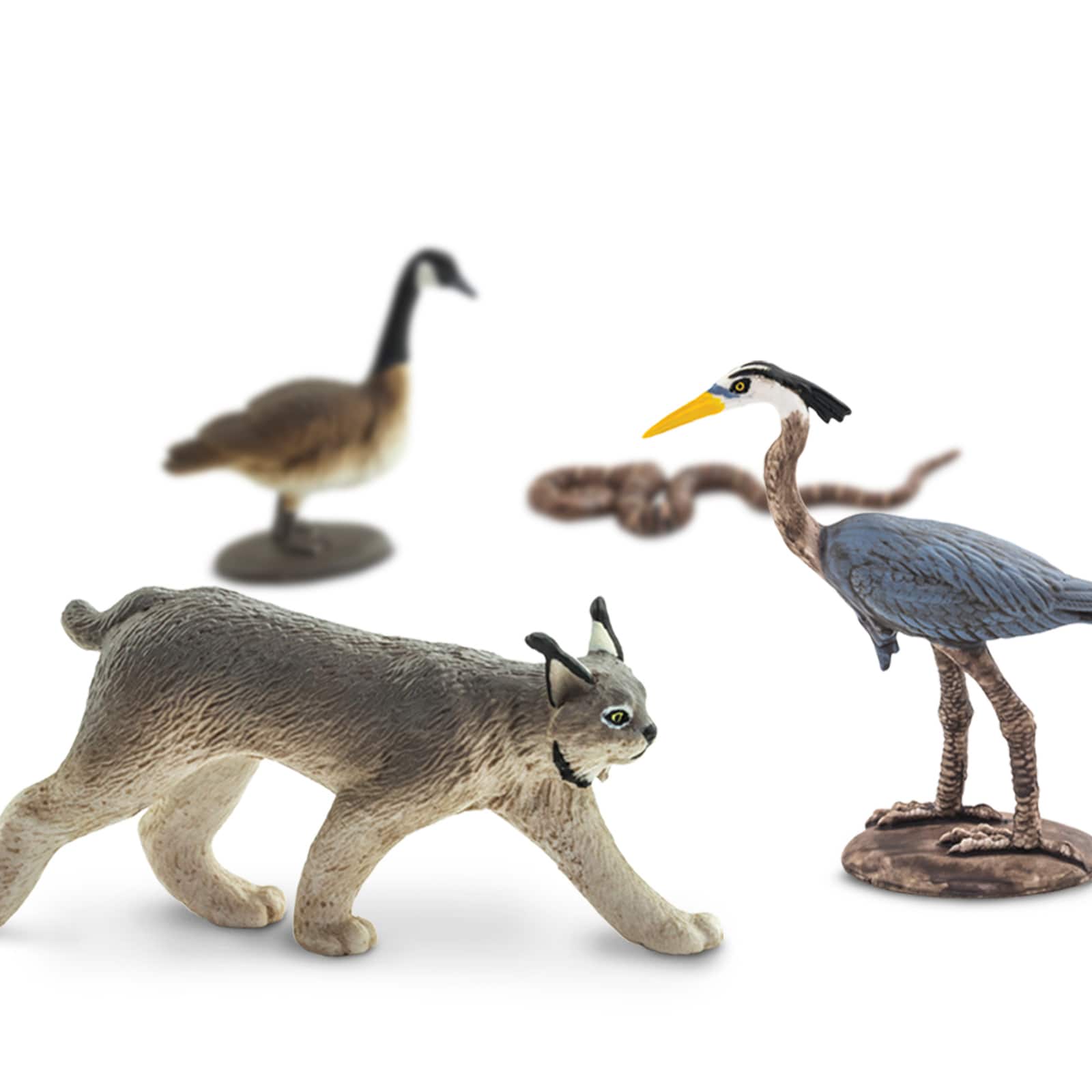 Figurines d'animaux des Grands Lacs TOOB de Safari Ltd