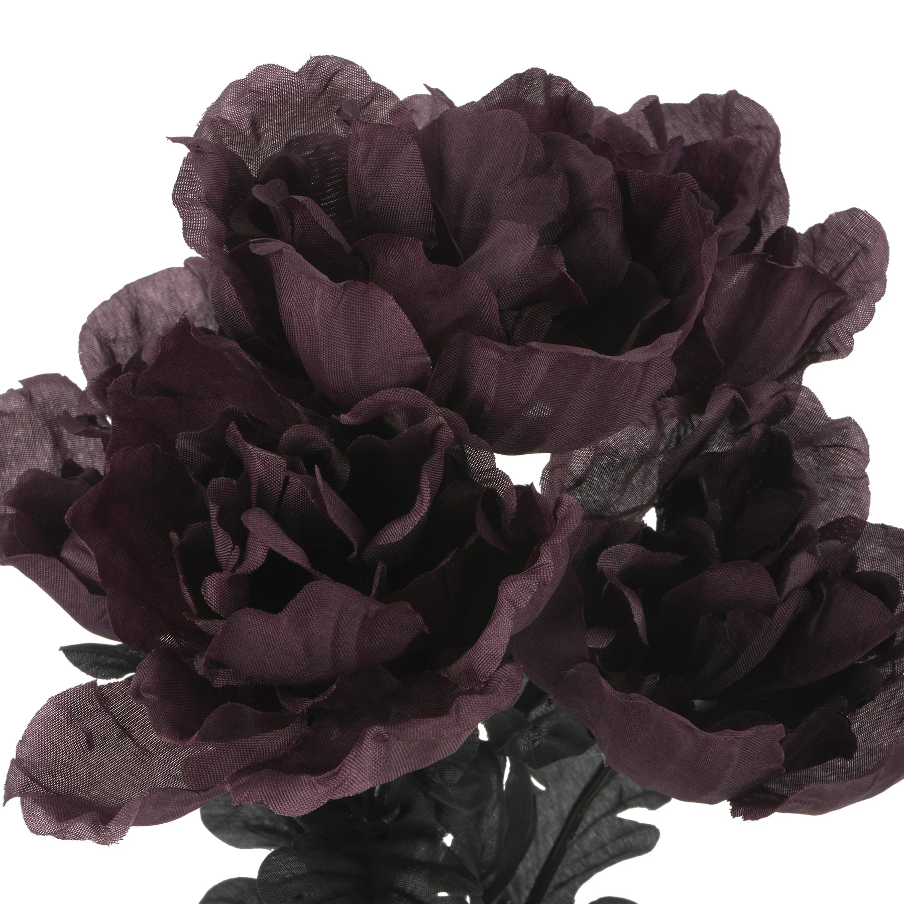 Halloween Peony Bush by Ashland&#xAE;