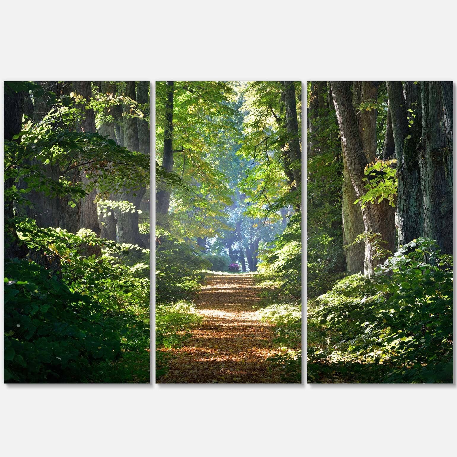 Designart - Bright Green Forest in Morning - Landscape Photography Canvas Print