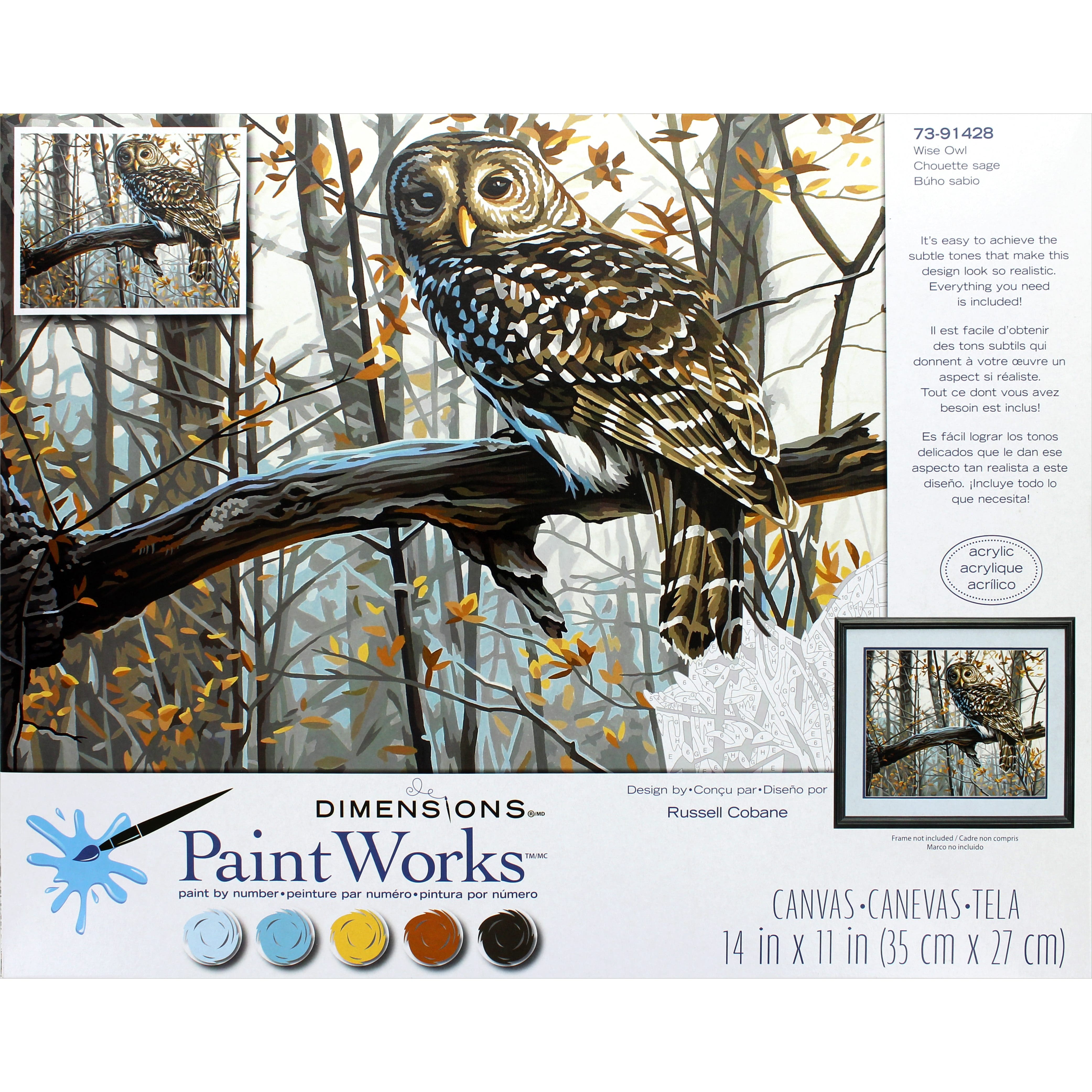 Dimensions&#xAE; PaintWorks&#x2122; Wise Owl Paint-by-Number Kit