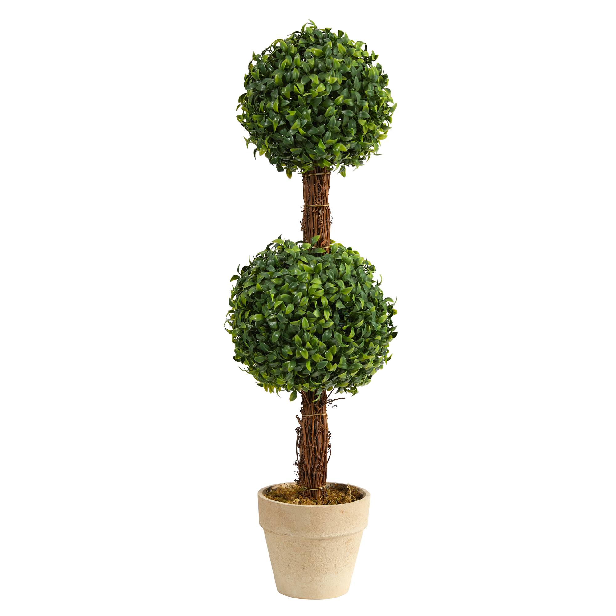 2ft. Boxwood Double Ball Topiary Tree in Cream Planter