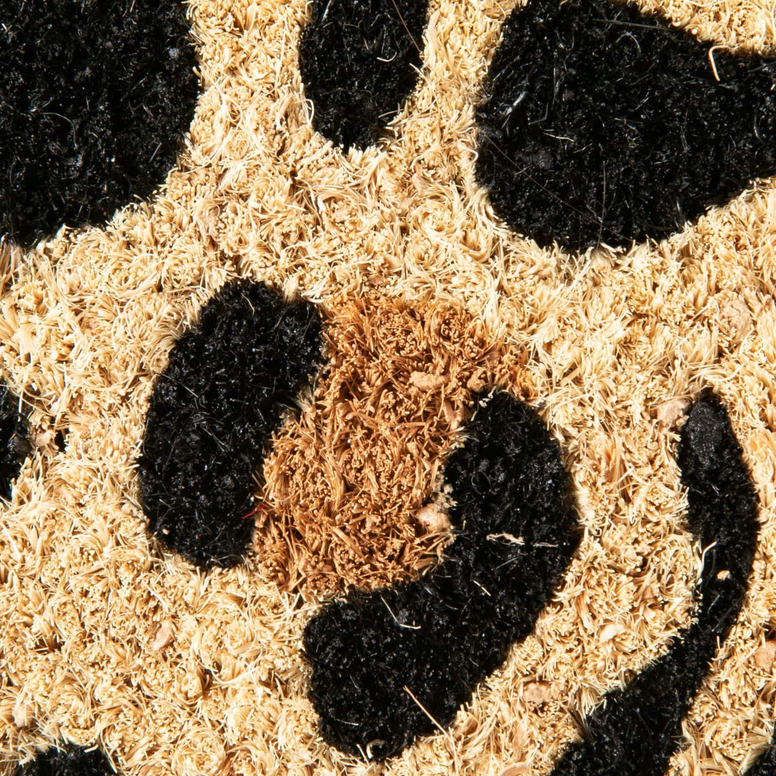 DII&#xAE; Leopard Spots Doormat