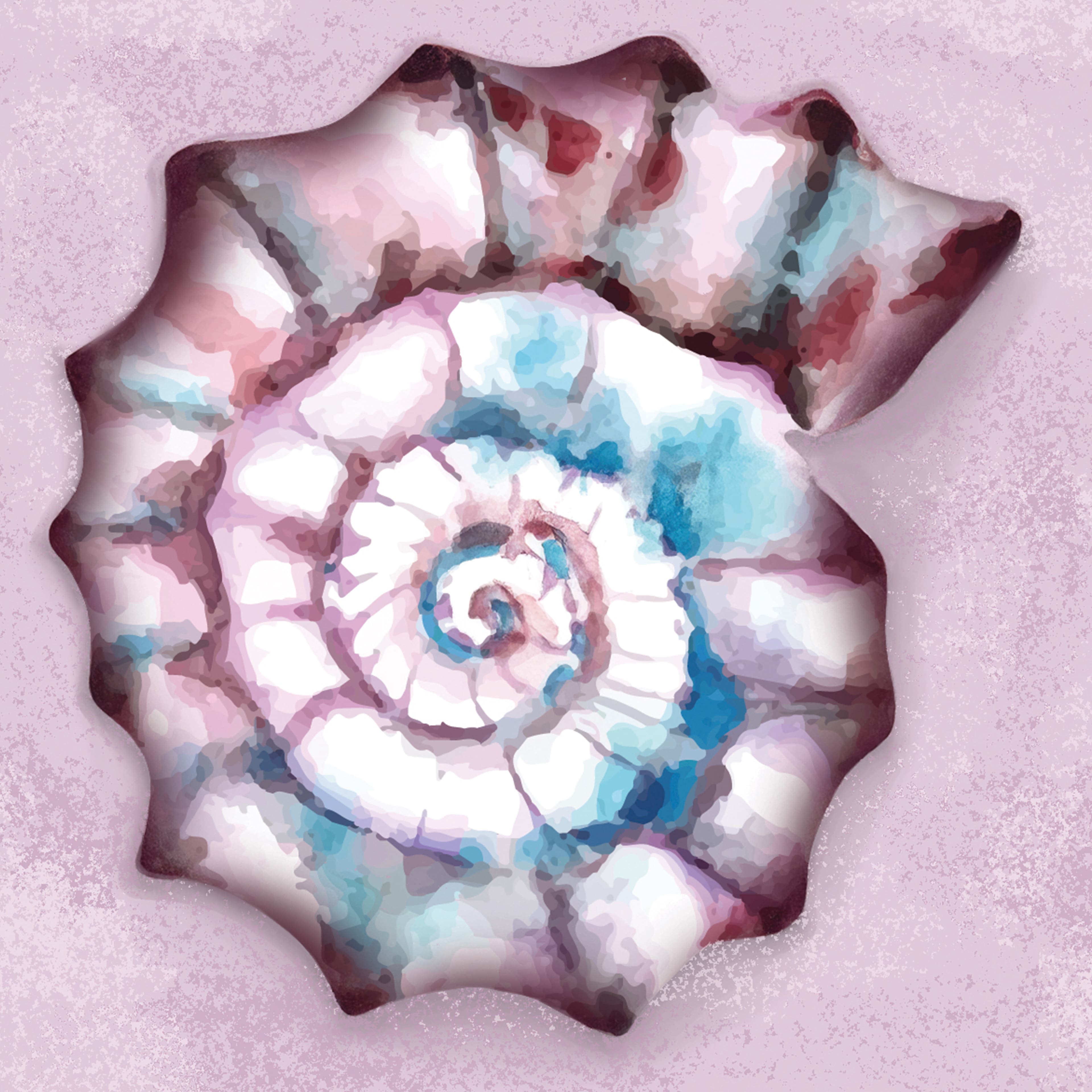 4&#x22; x 4&#x22; Seashell Canvas Painting Kit by Craft Smart&#xAE;