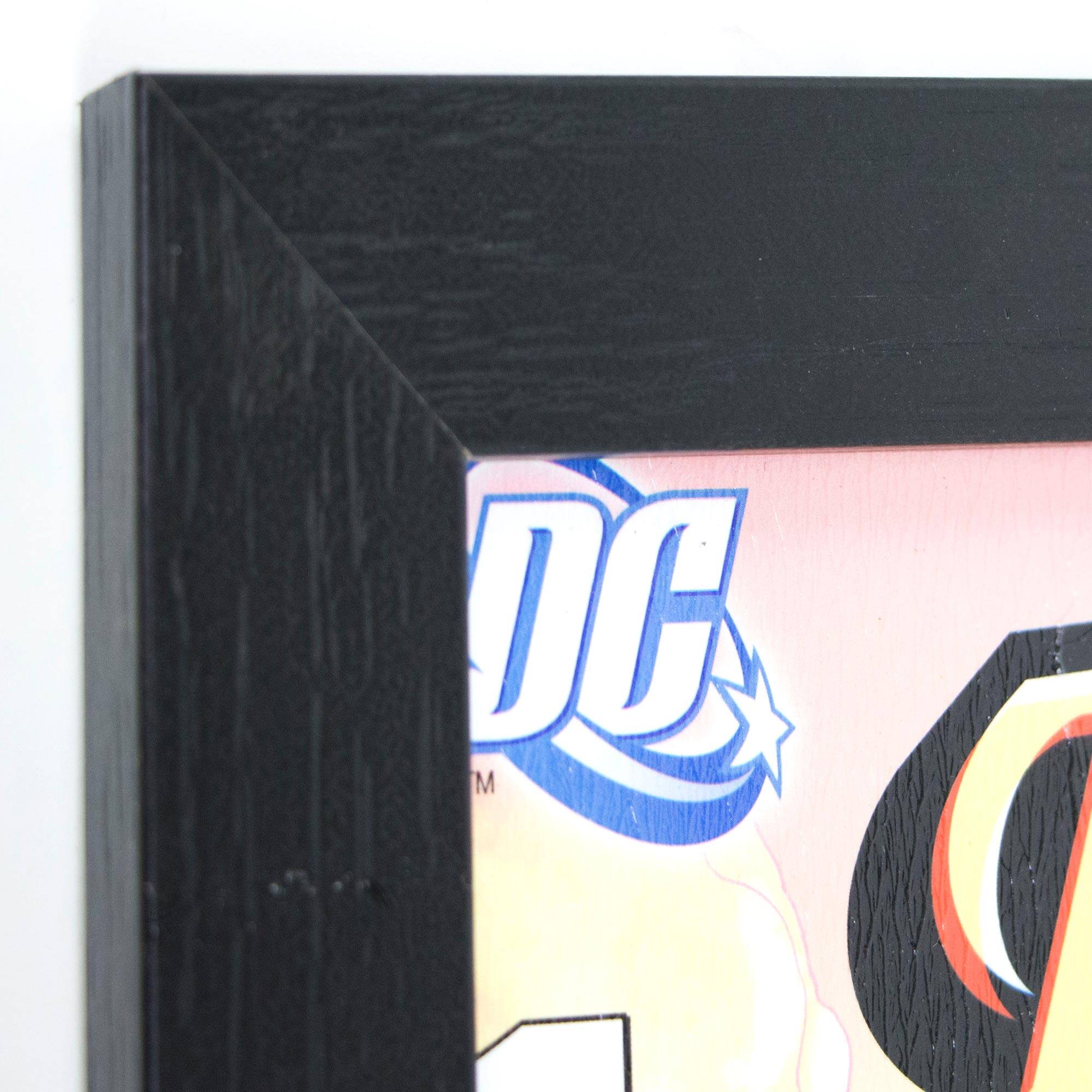 DC Comics&#x2122; Wonder Woman&#x2122; Framed Wall Art